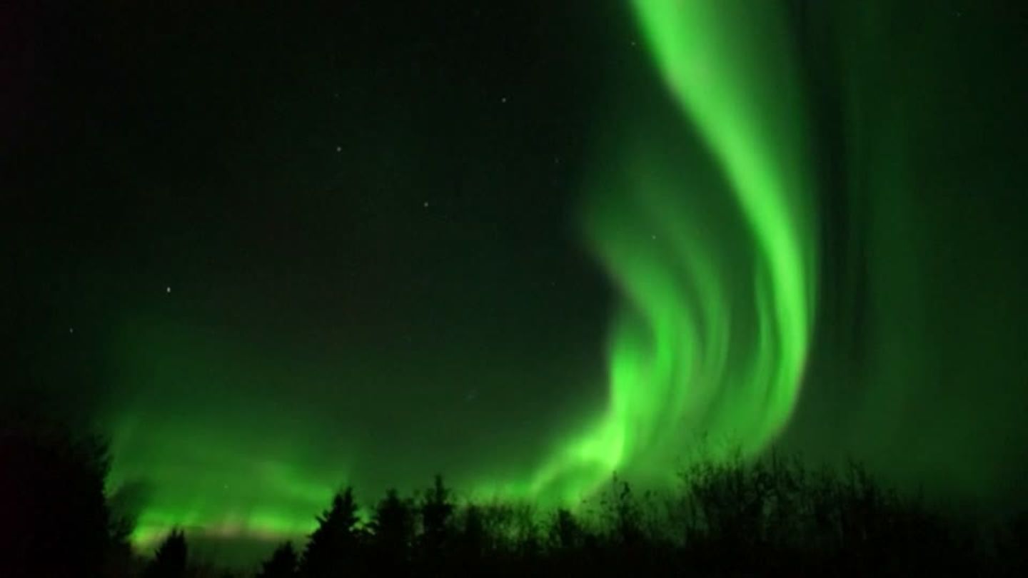Nordlicht, Grünes Band, Waldsilhouette, Dunkel, 16:9, HD-Hintergrundbild für den Desktop