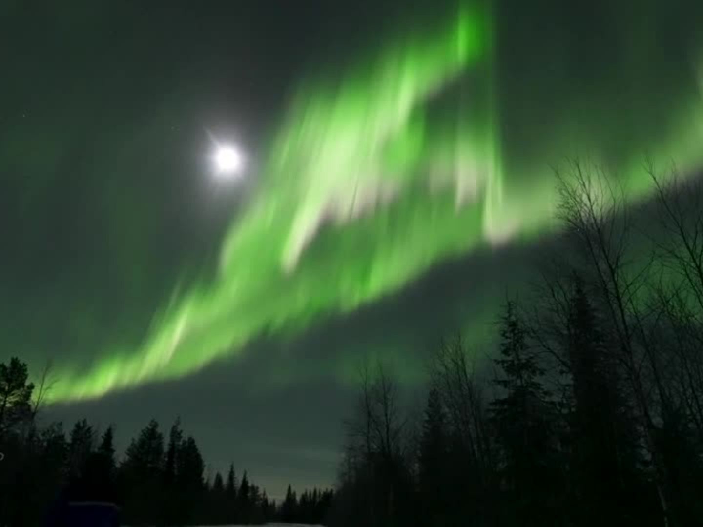 Nordlicht, Mond, Wald, Grün, Nacht, HD, Hintergrundbild fürs Tablet