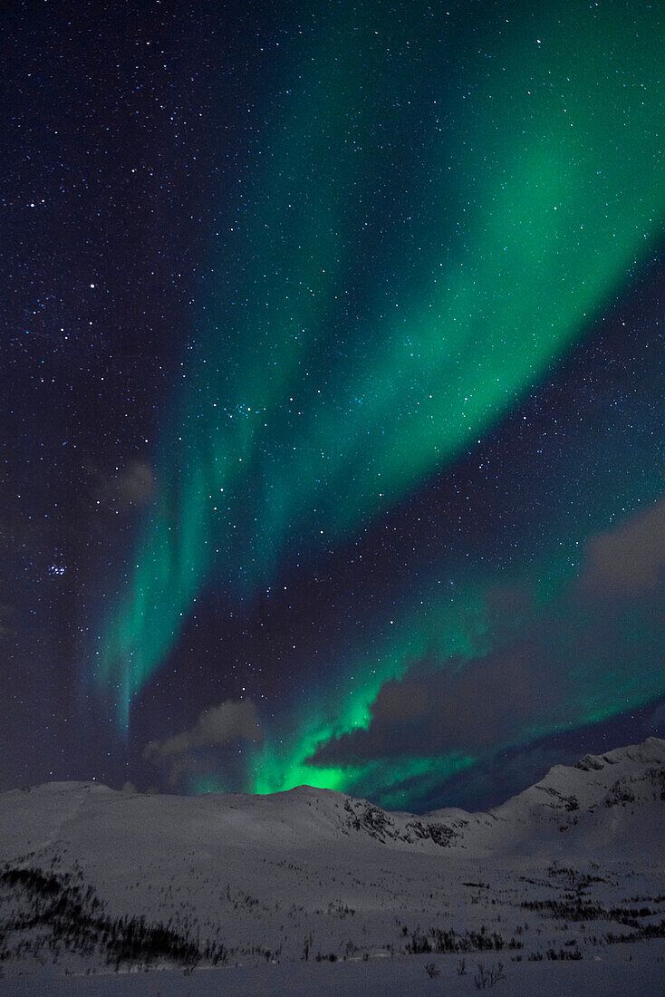 Nordlicht, Schnee, Grün, Sternenhimmel, HD, iPad-Hintergrundbild