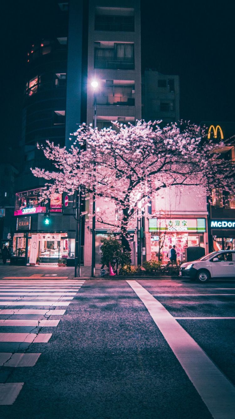 Kirschbaum, Kreuzung, Nacht, Stadt, Straßenlaternen, HD, Hintergrundbild fürs Handy