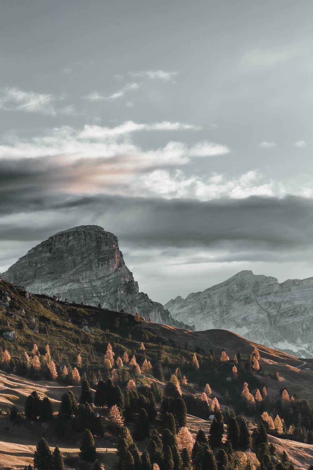 Berge, Wolken, Herbstwald, Landschaft, Grau, HD, Hintergrundbild fürs Handy