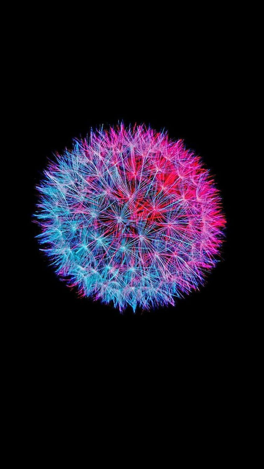 Pusteblume, Neonfarben, Pink, Blau, Schwarzer Hintergrund, Sperrbildschirm fürs iPhone