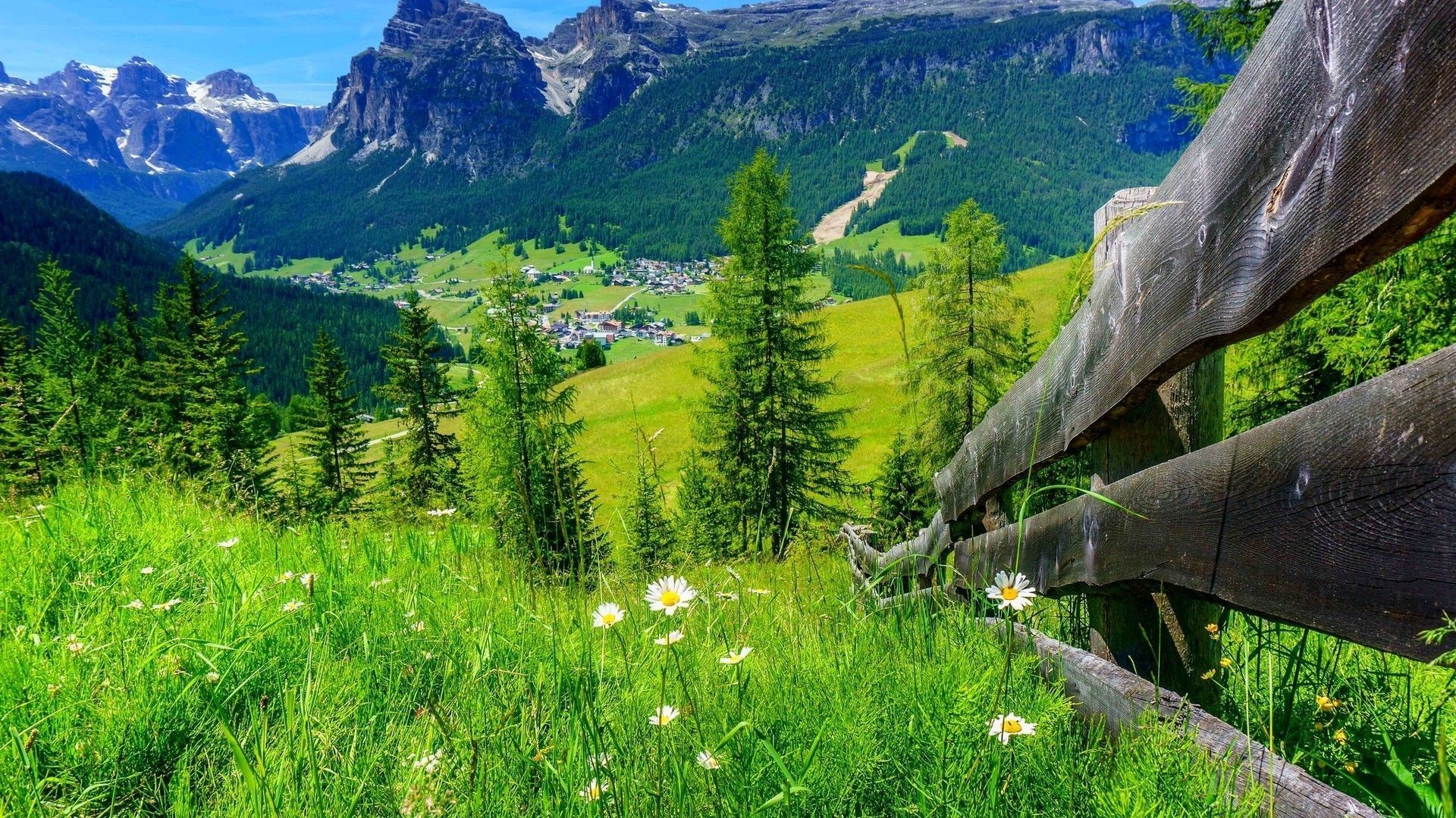 Alpen, Almwiese, Holzzaun, Bergdorf, Sommer, Lärchen, Full HD, Desktop-Hintergrund für Windows
