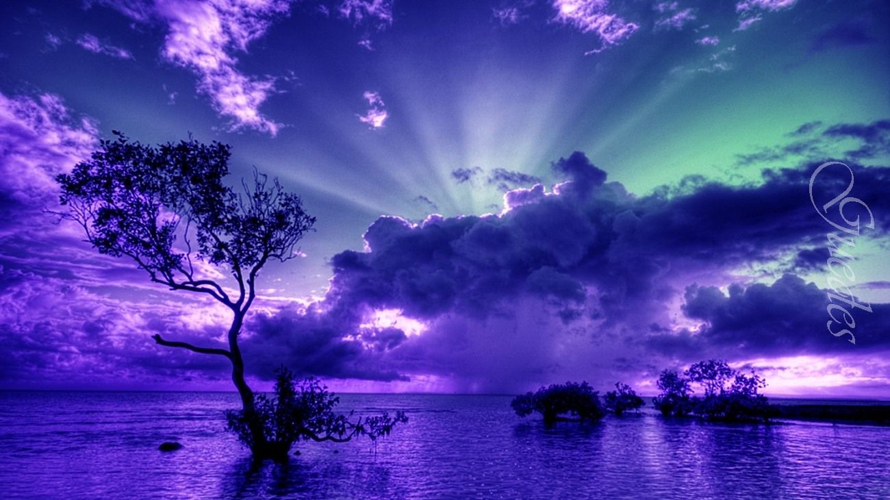 Baum, Lila Himmel, Sonnenstrahlen, Wolken, See, Fantasy, HD, Breitbild-Hintergrundbild