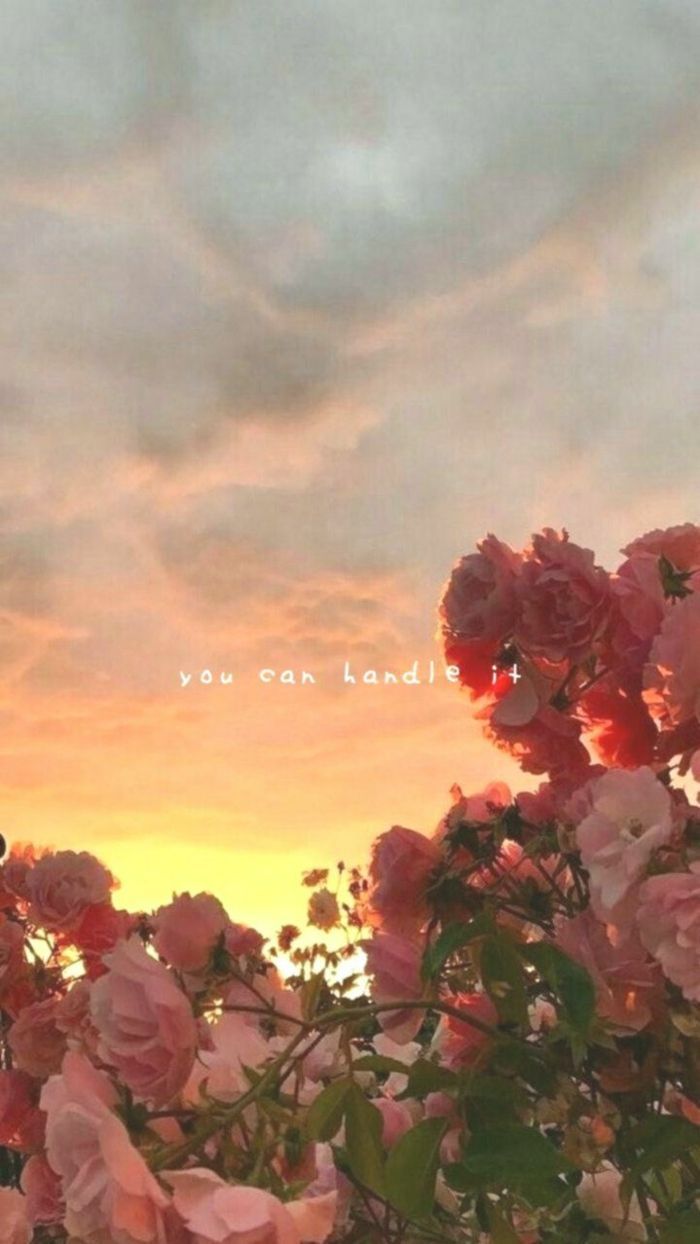Rosen, Sonnenuntergang, Wolken, Aesthetic, Spruch, Hintergrundbild für iPhone und Android