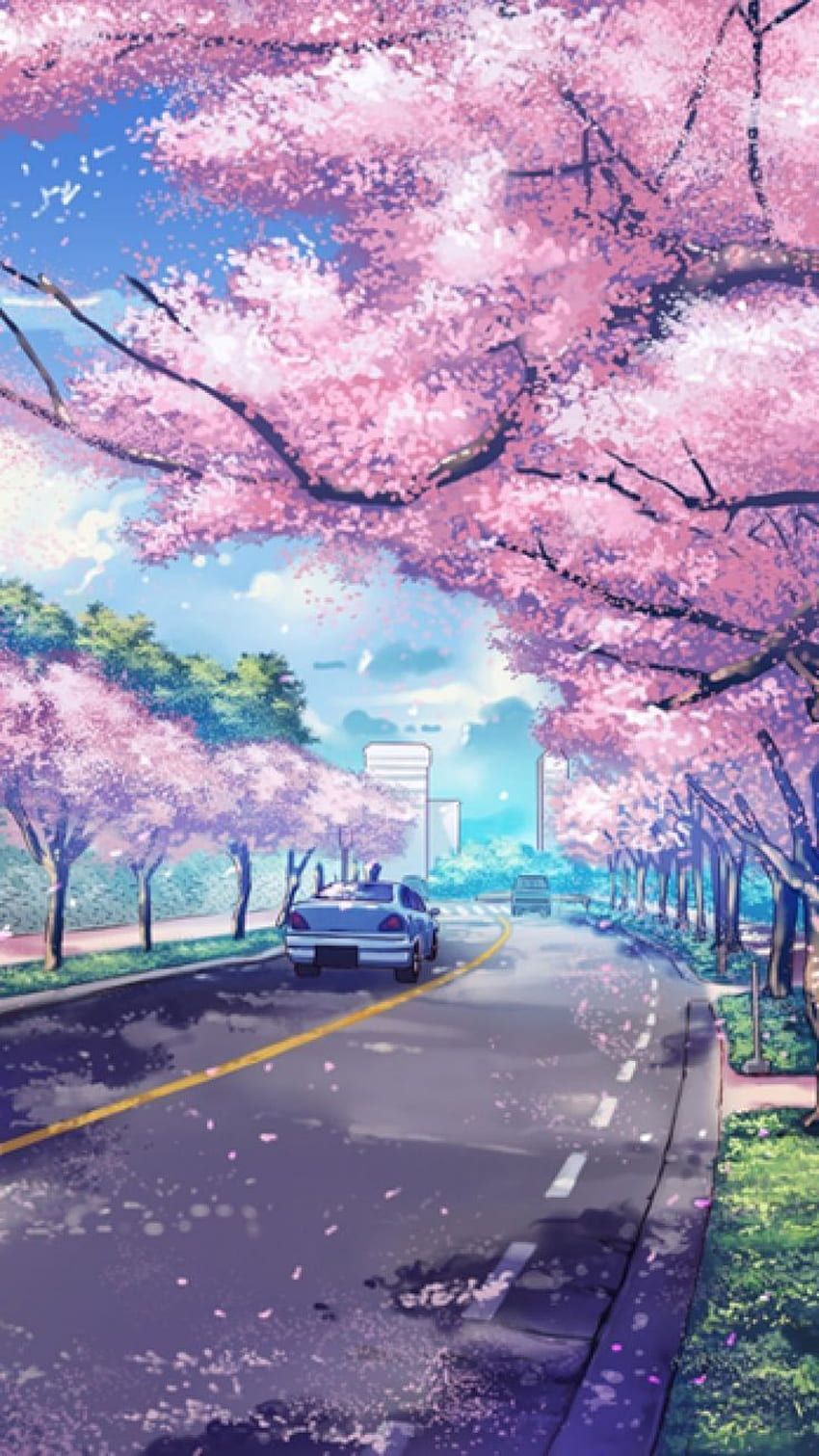 Kirschblüten, Straße, Anime-Stil, Rosa, Frühling, HD, Handy-Hintergrund im Hochformat
