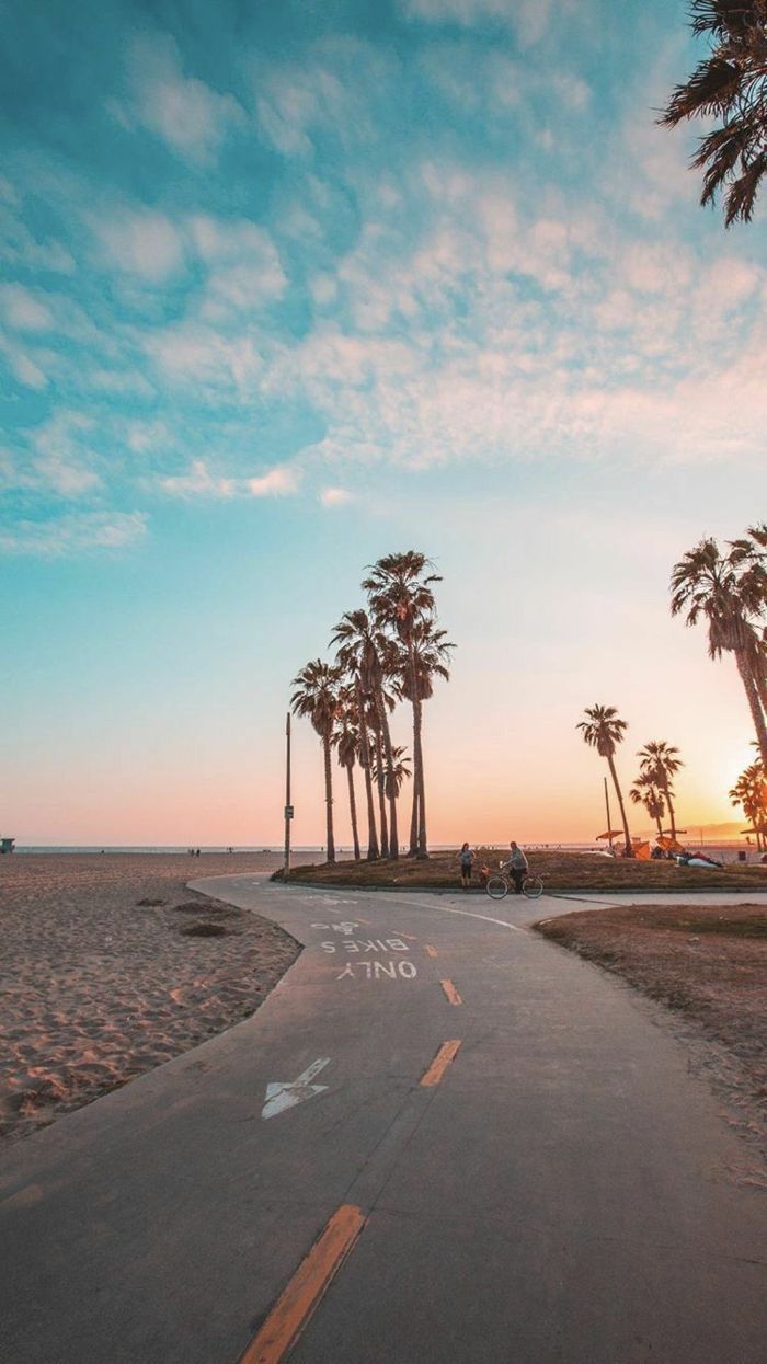 Palmen, Strandpromenade, Sonnenuntergang, Radweg, Kalifornien-Flair, Sperrbildschirm fürs iPhone