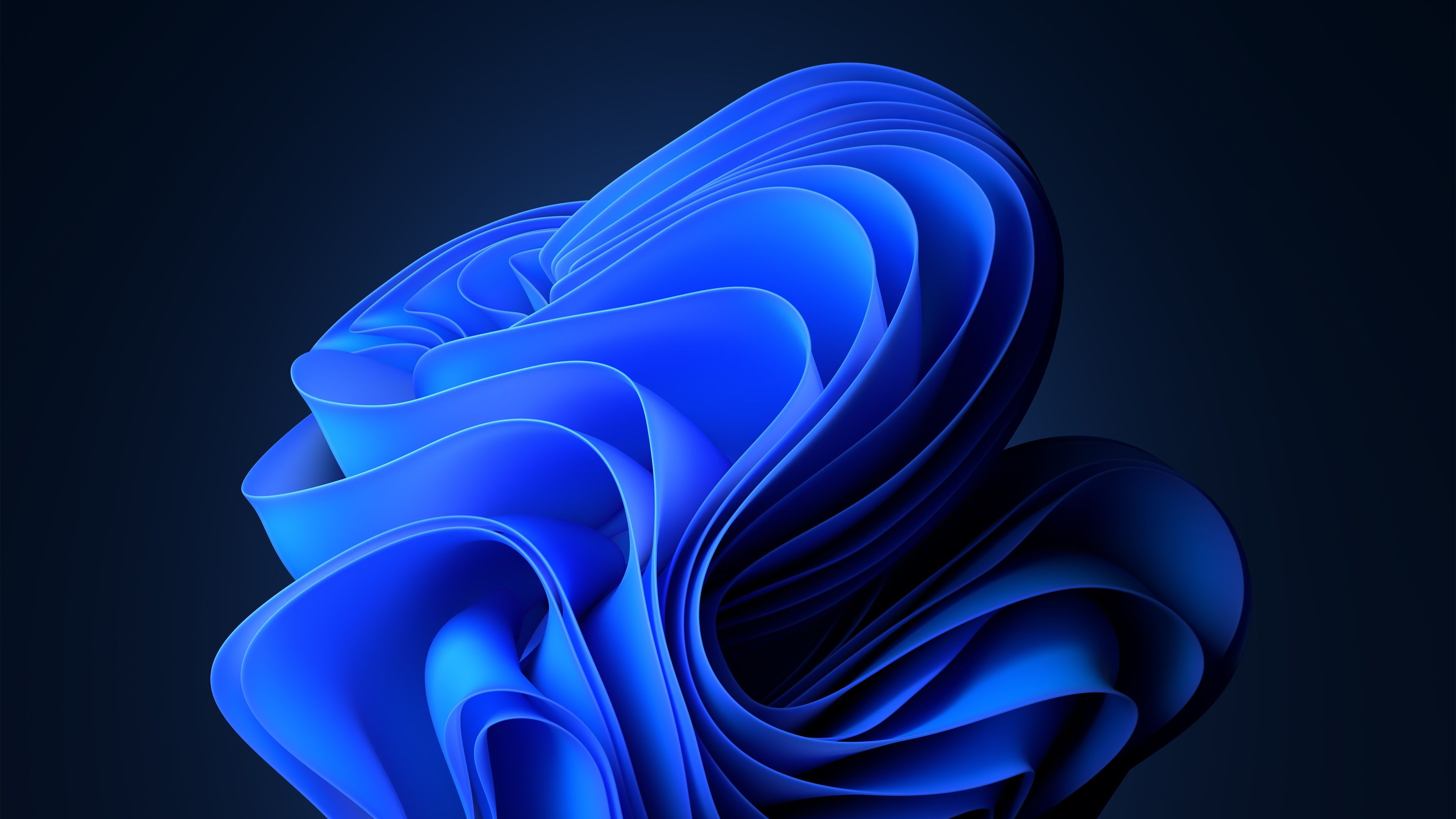 Windows 11, Bloom, Blau, Abstrakt, 4K, Hintergrund für den Desktop