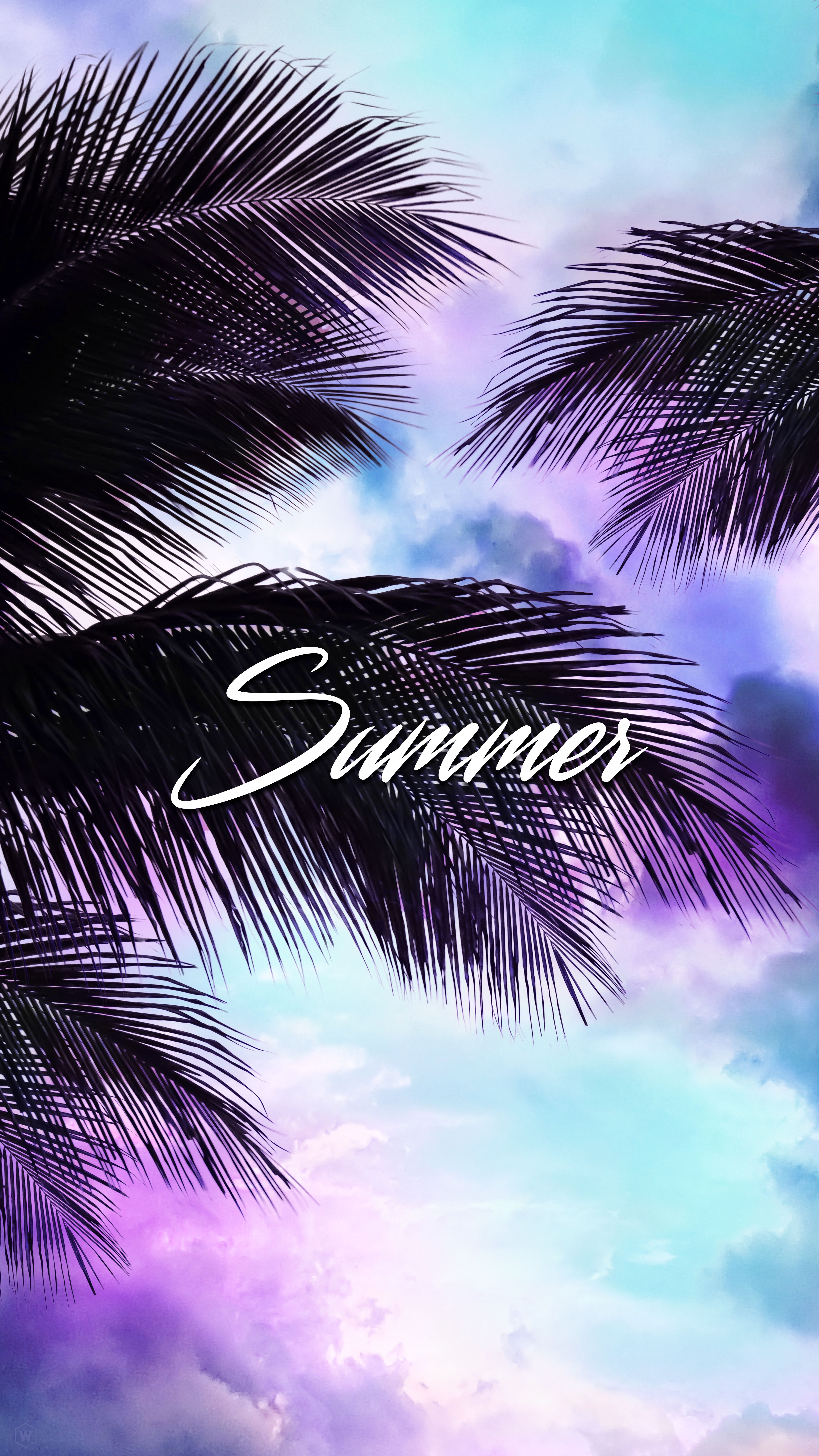 Palmenblätter, Summer, Schriftzug, Lila, Pastellfarben, QHD+, Hintergrundbild fürs Handy
