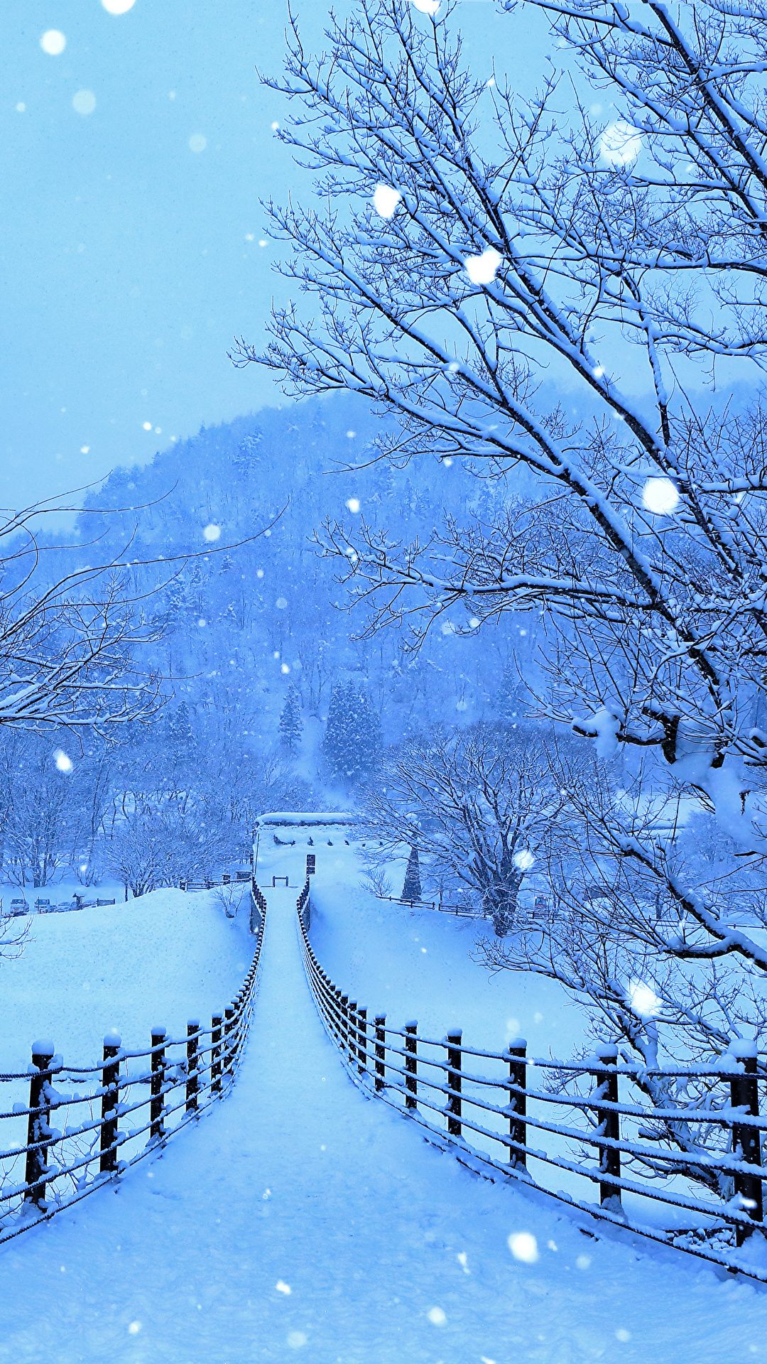 Winterweg, Schnee, Zaun, Bäume, Schneefall, Full HD, Hintergrundbild fürs Handy
