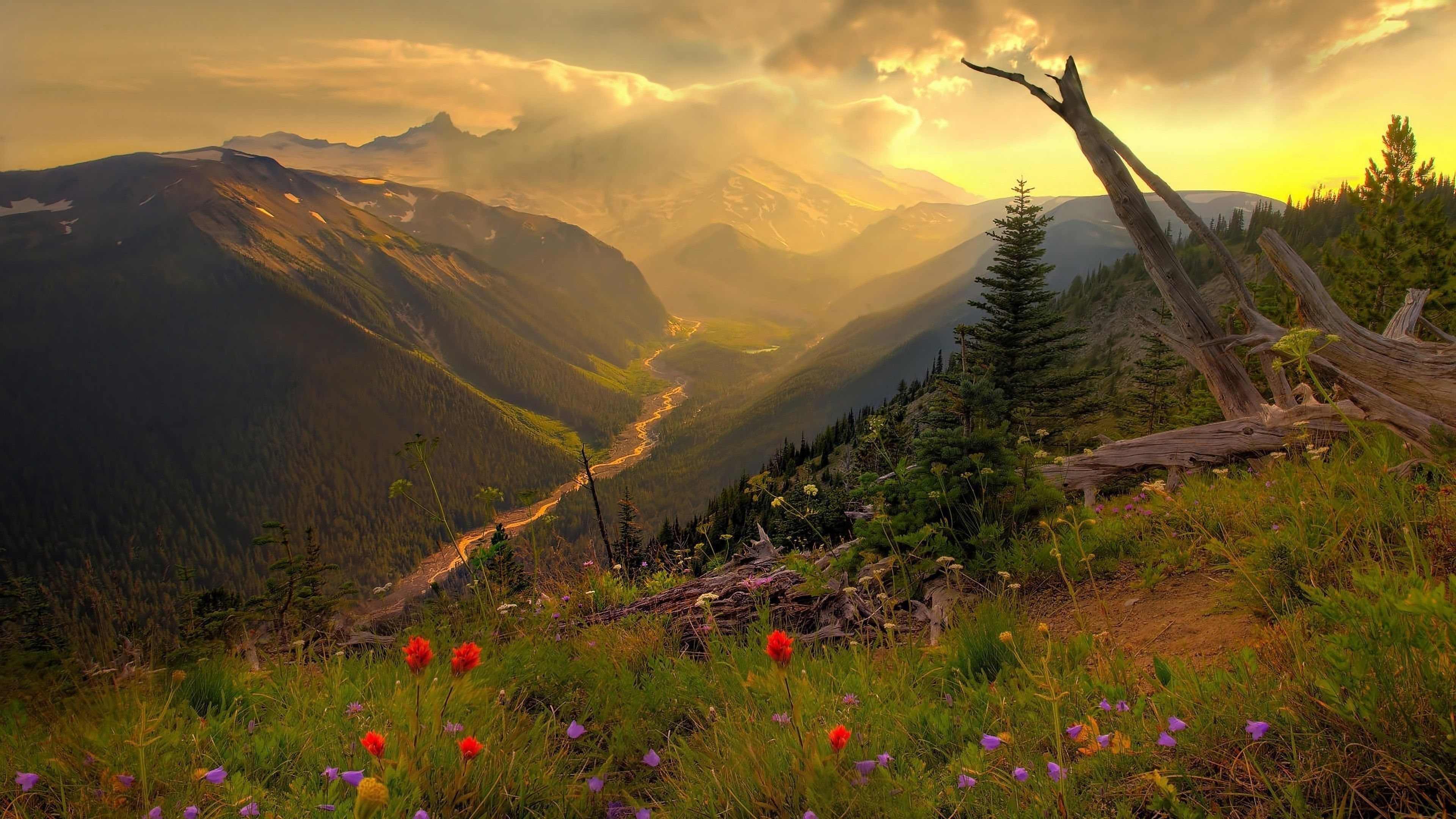 Bergtal, Sonnenuntergang, Wildblumen, Goldenes Licht, 4K 2160p, Desktop-Hintergrundbild