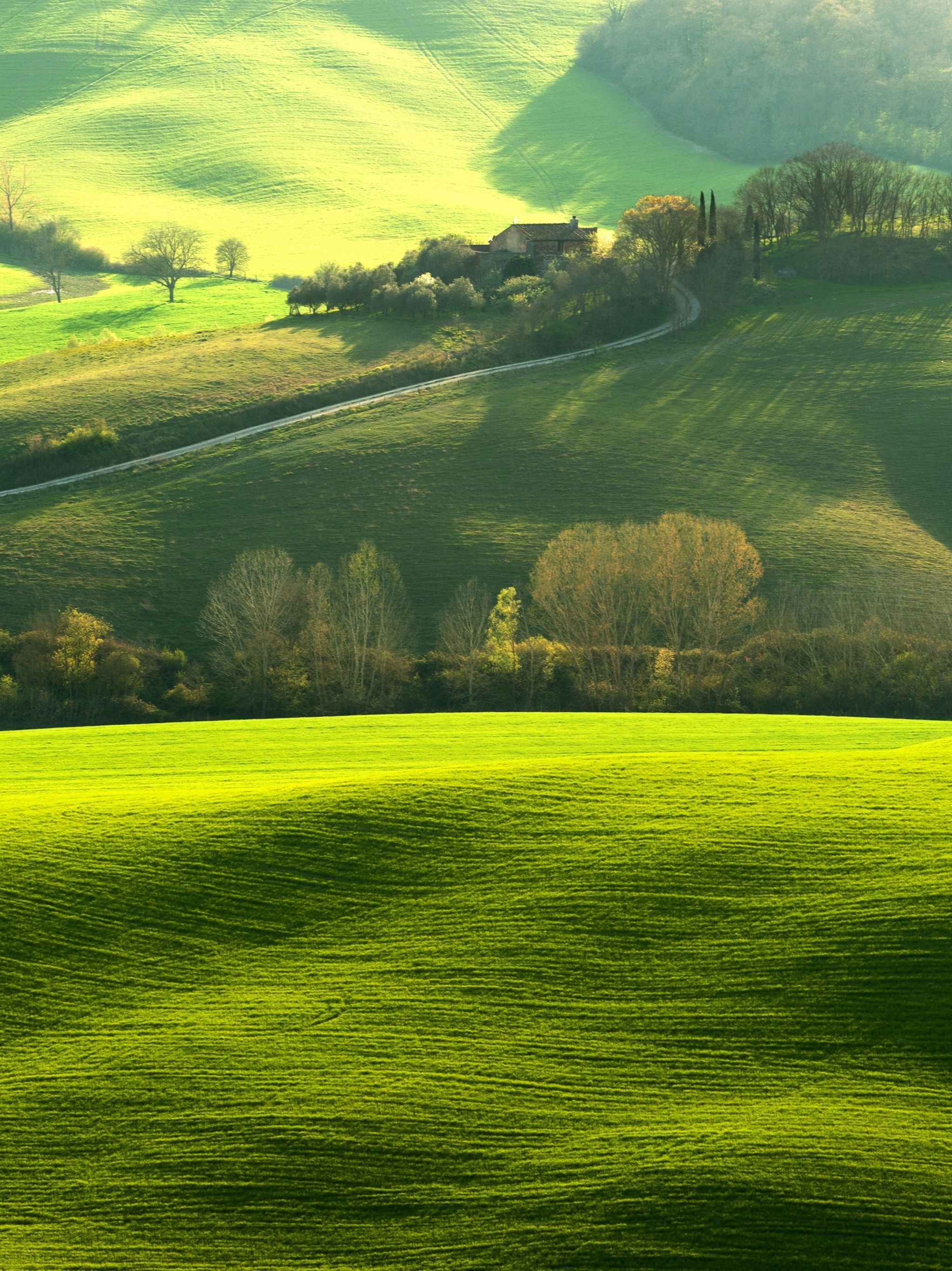 Grüne Hügel, Wiese, Felder, Frühling, QHD+, iPad-Hintergrundbild