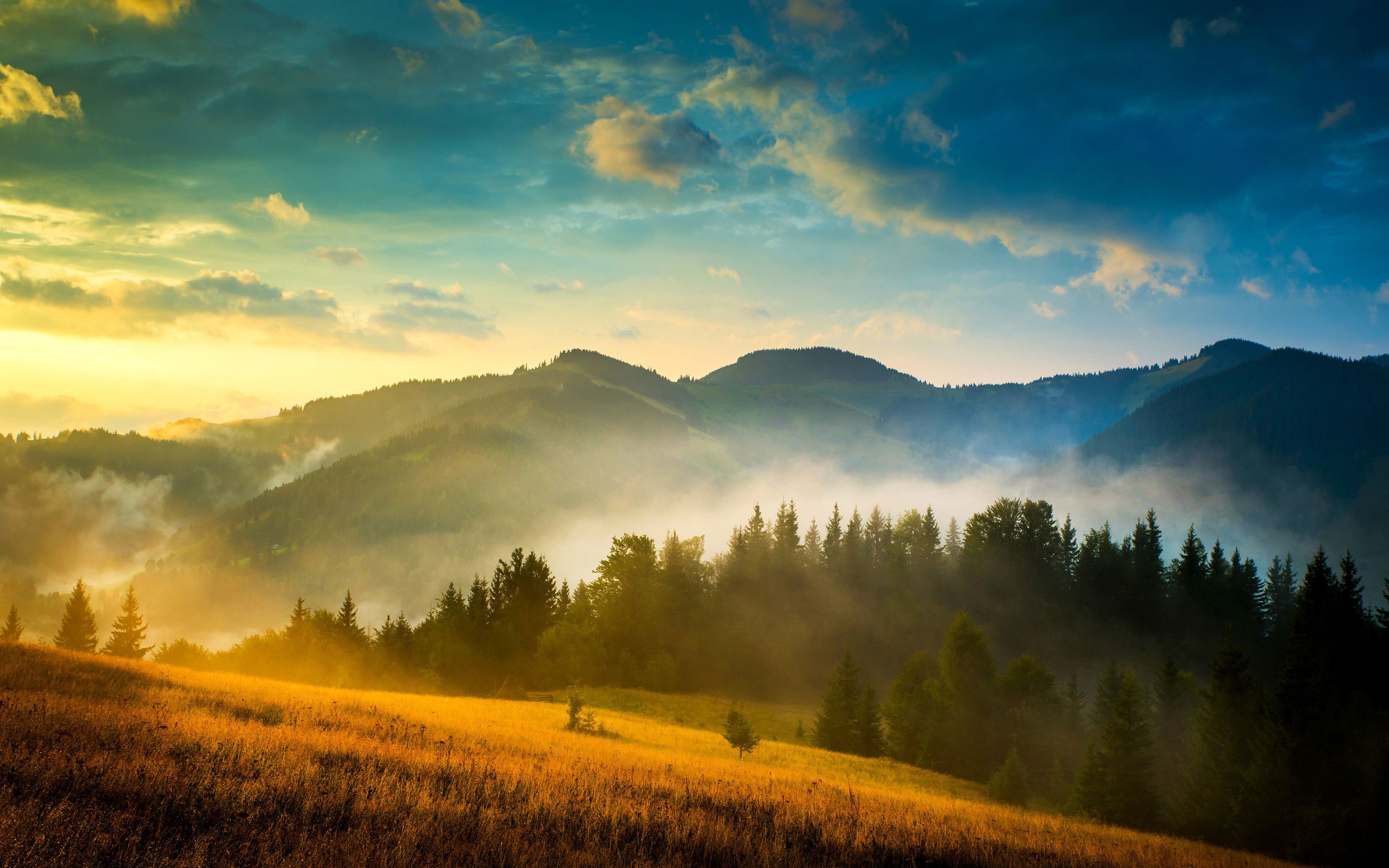 Hügel, Nebel, Wald, Sonnenaufgang, Wiese, 2K, Hintergrundbild für den PC