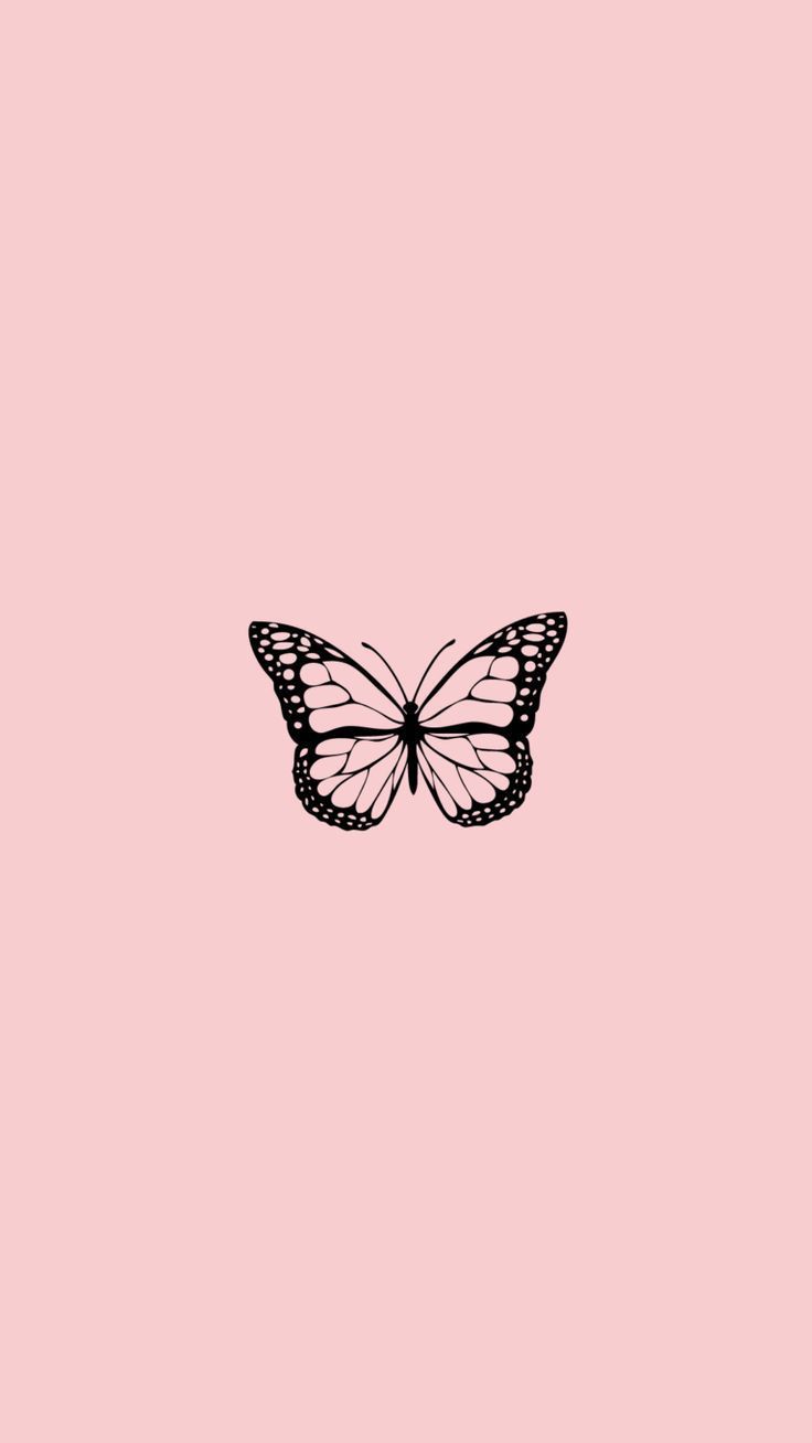 Schmetterling, Strichzeichnung, Minimalistisch, Rosa Hintergrund, Sperrbildschirm fürs iPhone
