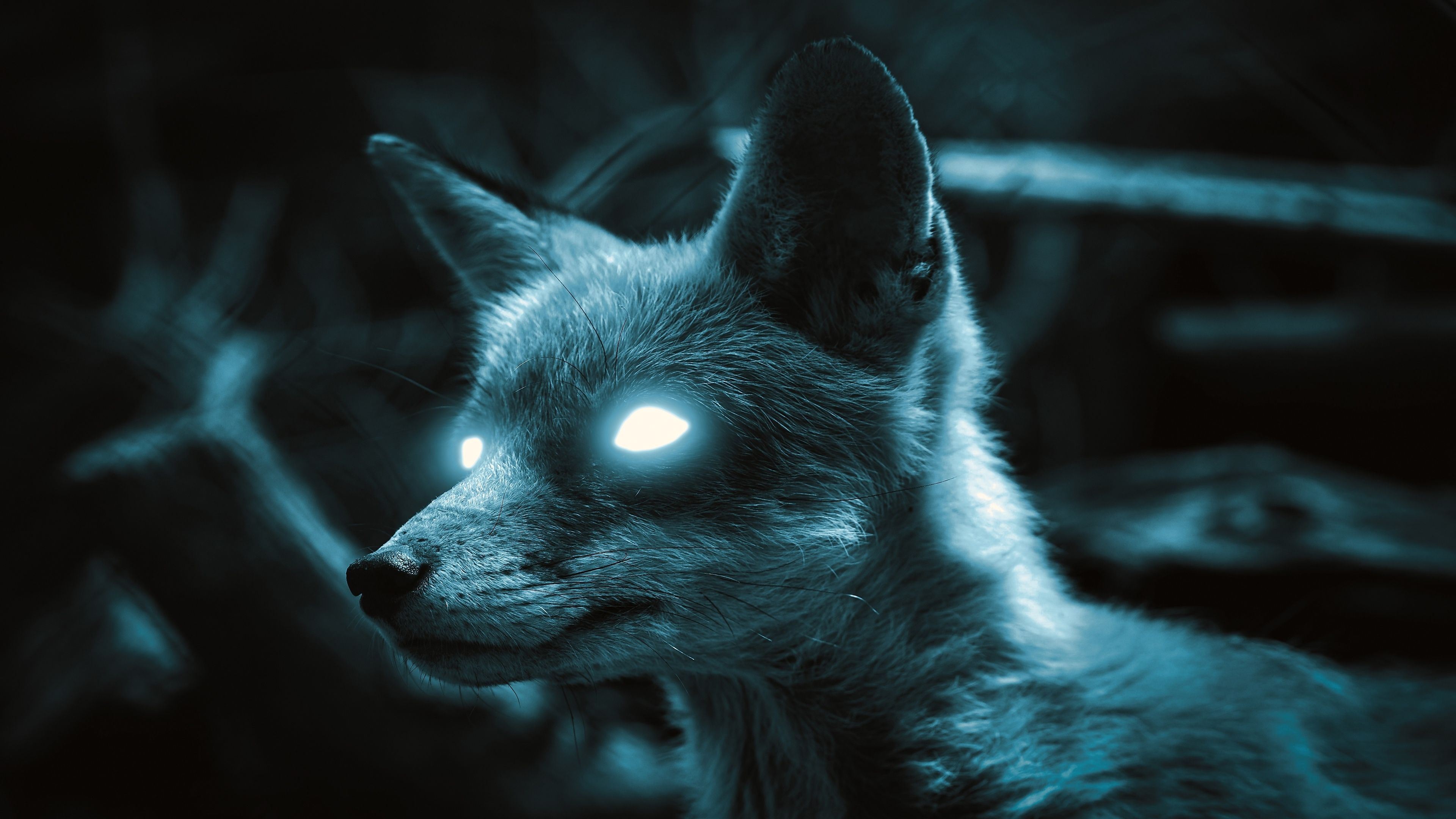 Fuchs, Leuchtende Augen, Dunkel, Digitale Kunst, 4K 2160p, Desktop-Hintergrundbild