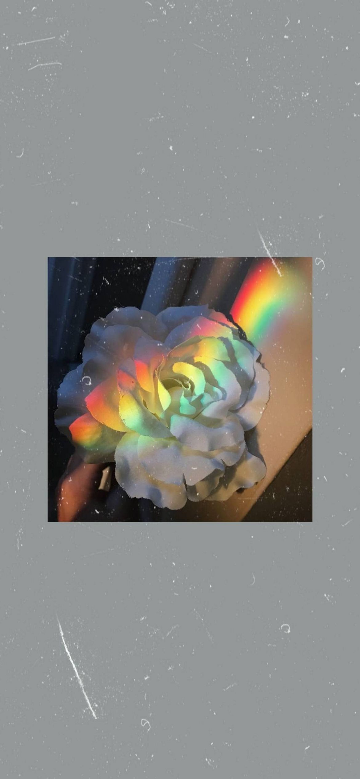 Hand, Regenbogen, Lichtreflex, Rahmen, Grauer Hintergrund, Sperrbildschirm fürs iPhone