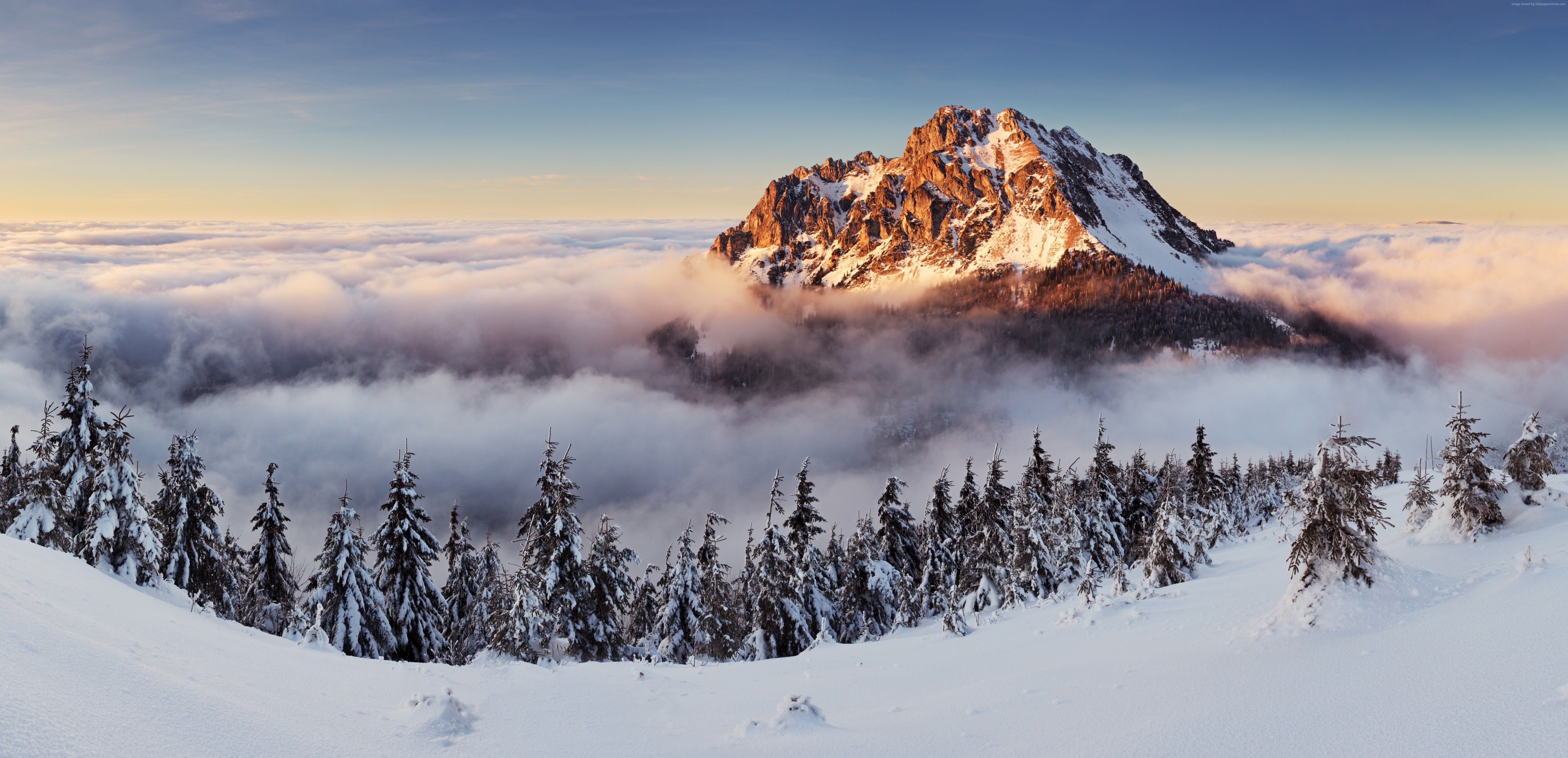 Berggipfel, Wolkenmeer, Winterwald, Schnee, 6K, Hintergrundbild für den PC