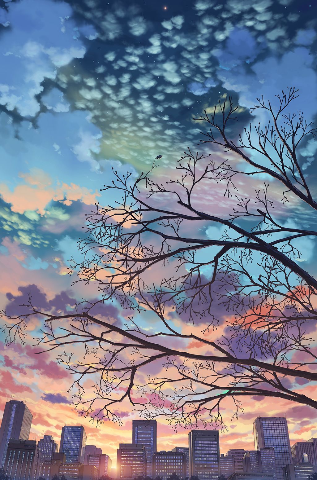Baum, Kahle Äste, Wolken, Stadt, Anime-Stil, Bunter Himmel, Android-Hintergrundbild