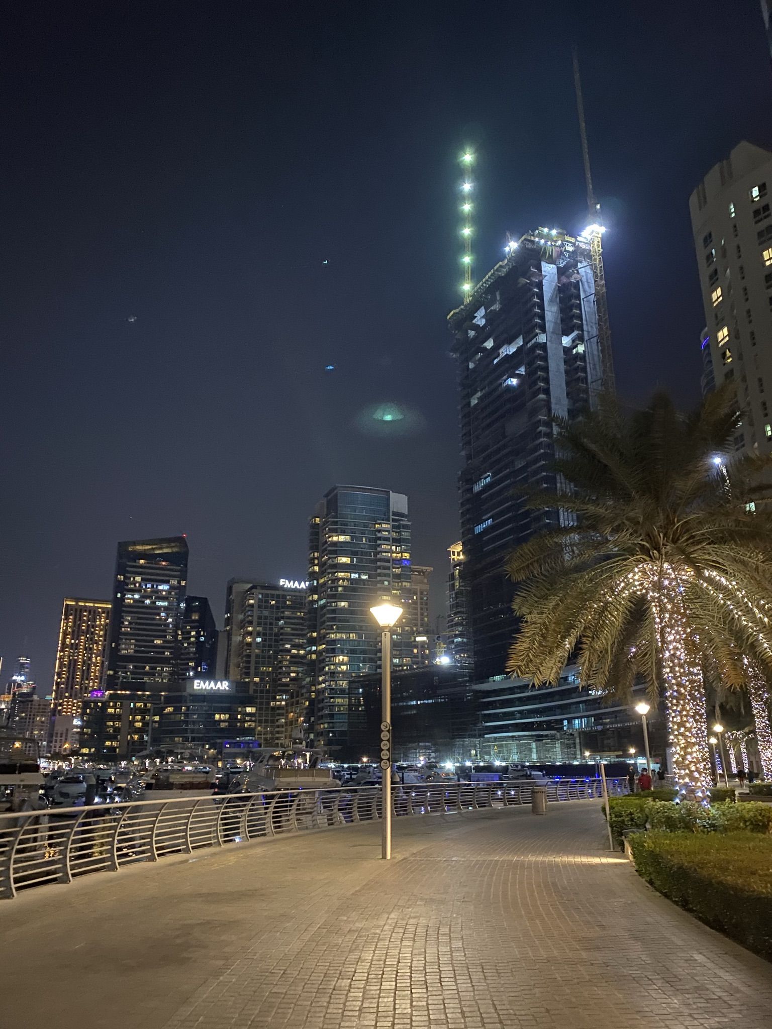 Hochhäuser, Uferpromenade, Nacht, Palmen, QHD+, Hintergrundbild fürs Tablet