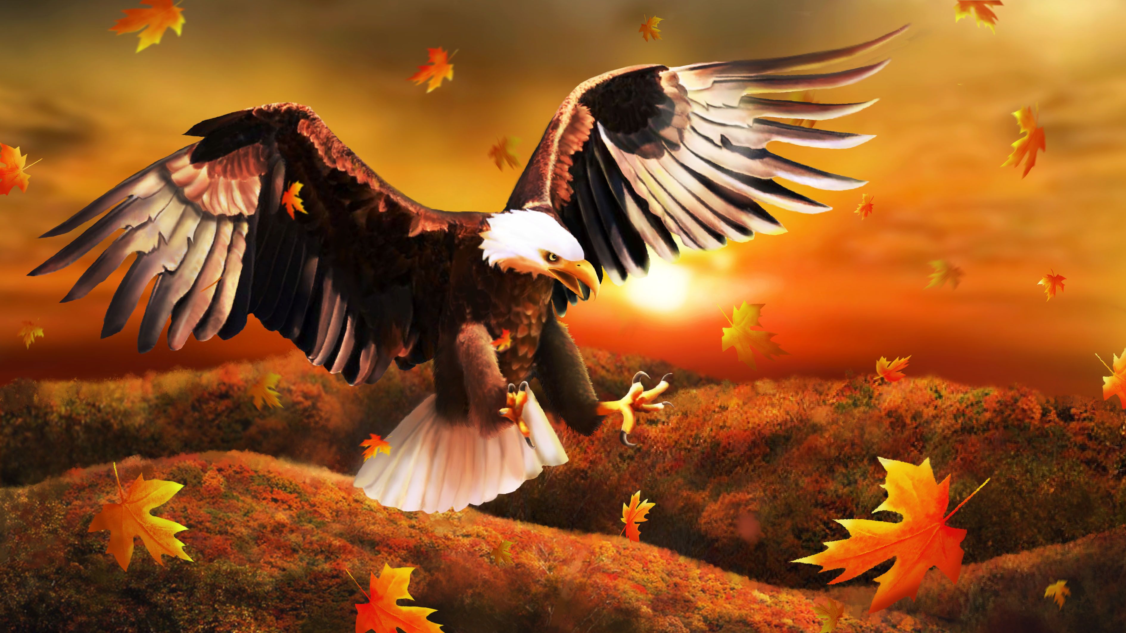 Weißkopfseeadler, Landeanflug, Herbstlaub, Sonnenuntergang, Fantasy, 2K-Hintergrundbild für PC
