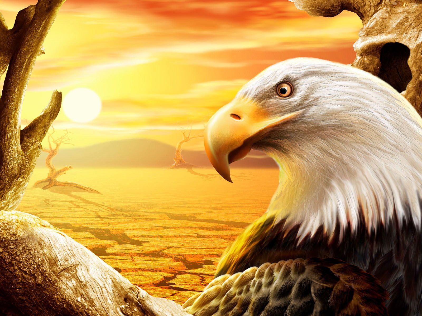 Weißkopfseeadler, Wüste, Sonnenuntergang, Gelb, Fantasy, HD, Tablet-Hintergrund