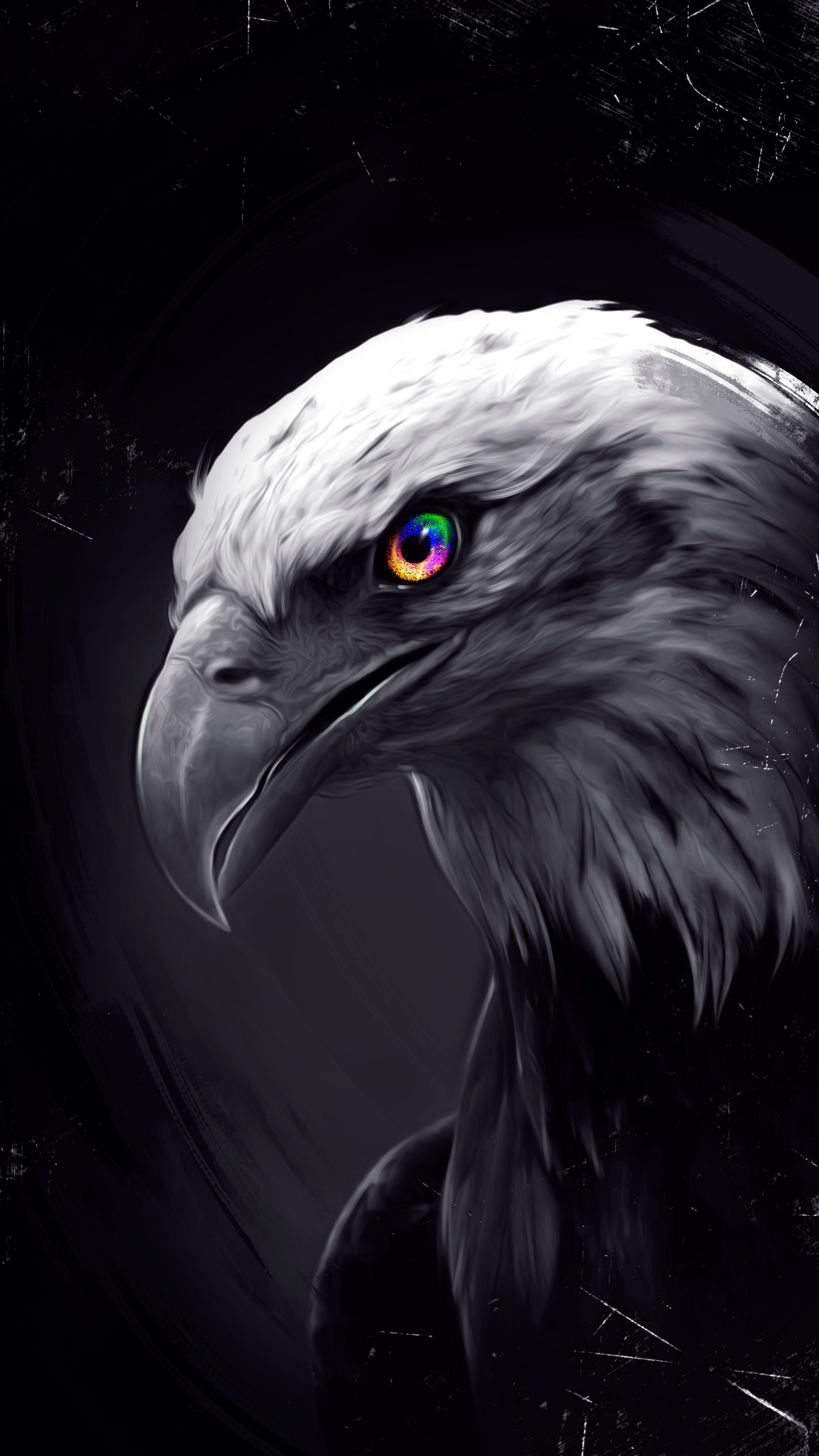 Weißkopfseeadler, Dunkel, Porträt, Schwarz, Minimalistisch, Android-Hintergrundbild