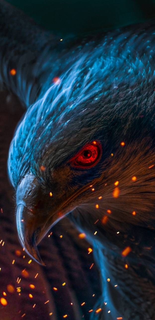 Adler, Rotes Auge, Funken, Digitale Kunst, Dunkelblau, Hintergrundbild für iPhone und Android
