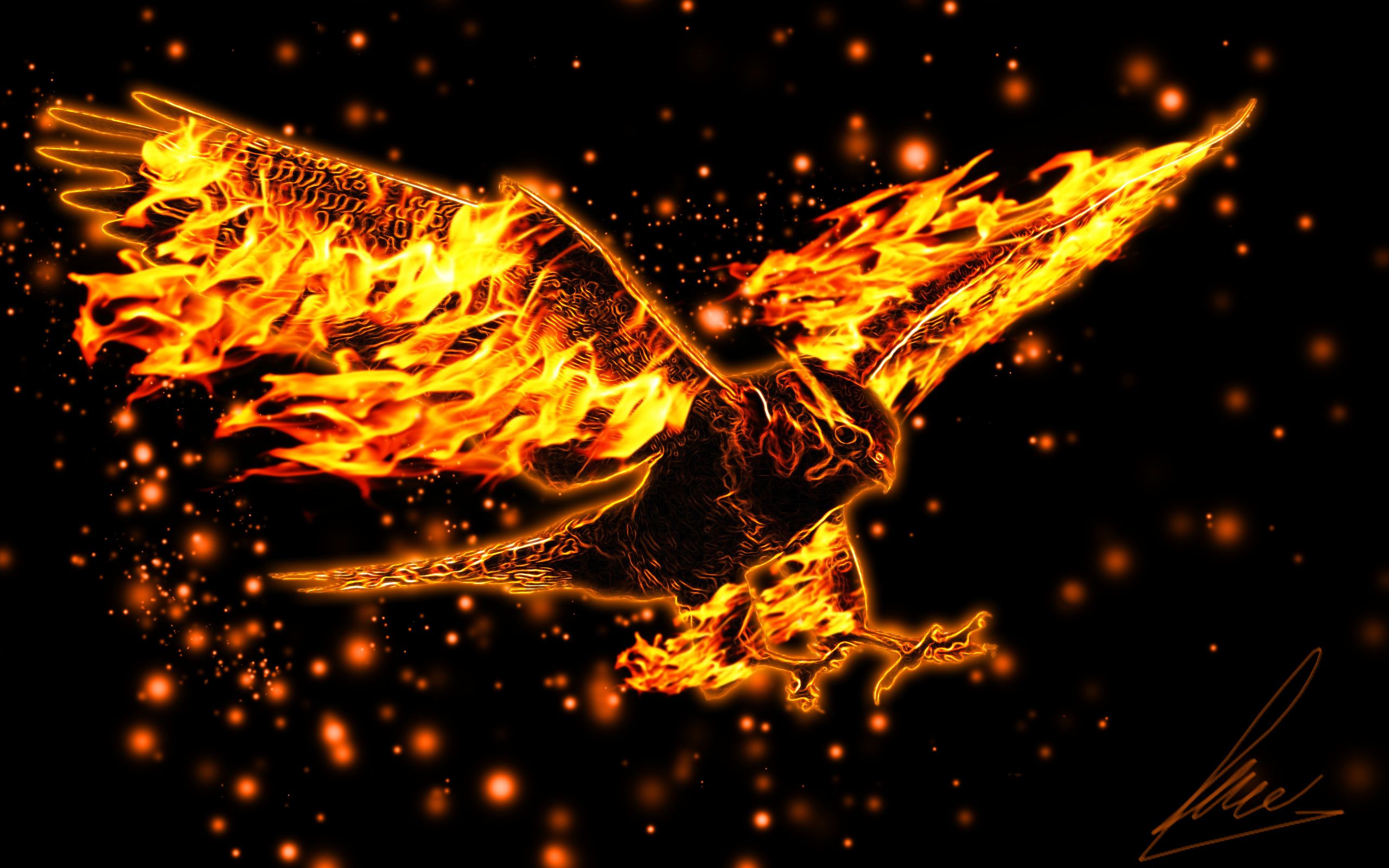 Adler, Feuer, Flammen, Funken, Phönix, Schwarzer Hintergrund, 2K Wallpaper