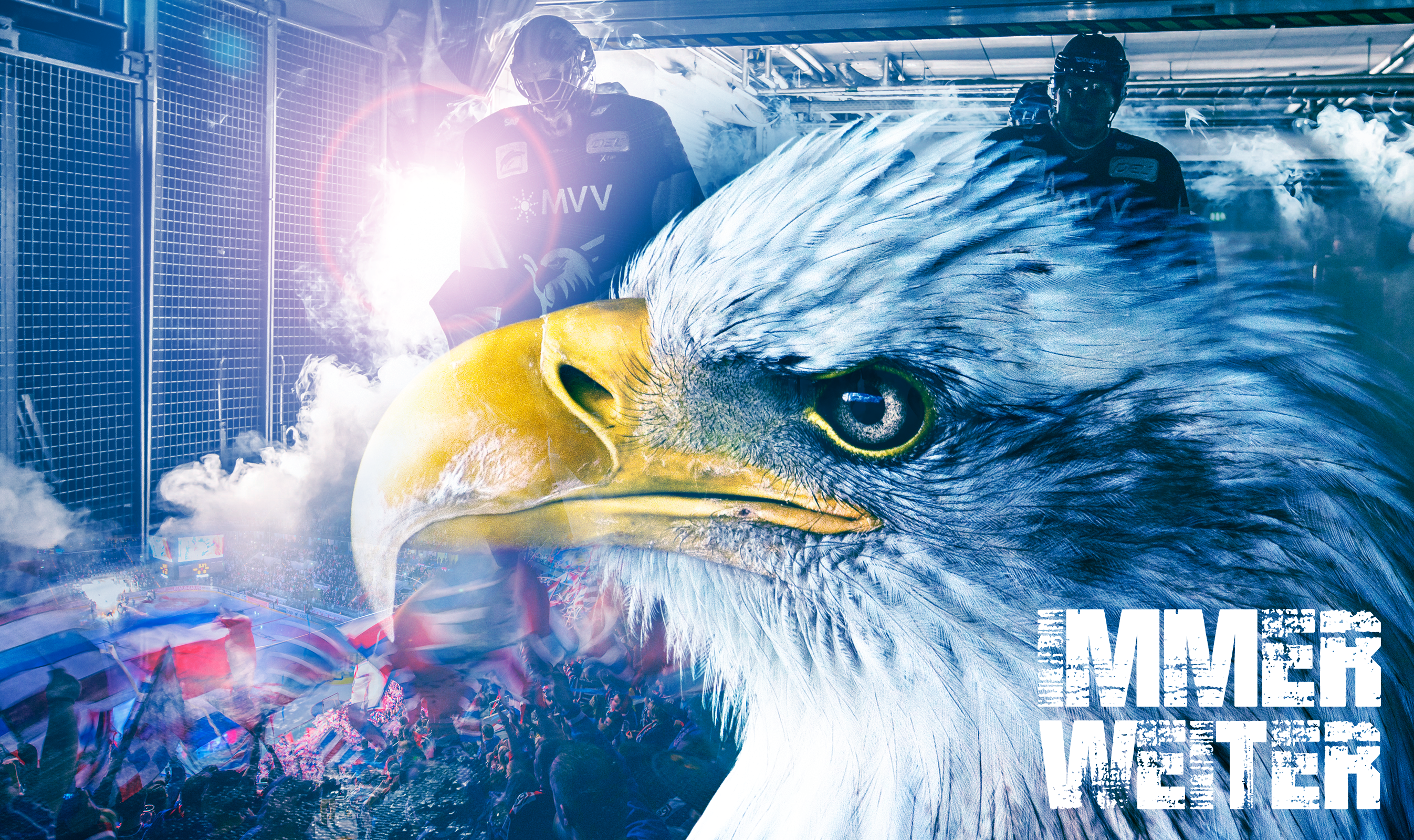 Adler, Immer Weiter, Fußballfans, Stadion, Collage, Blau, 2K, Windows-Hintergrundbild