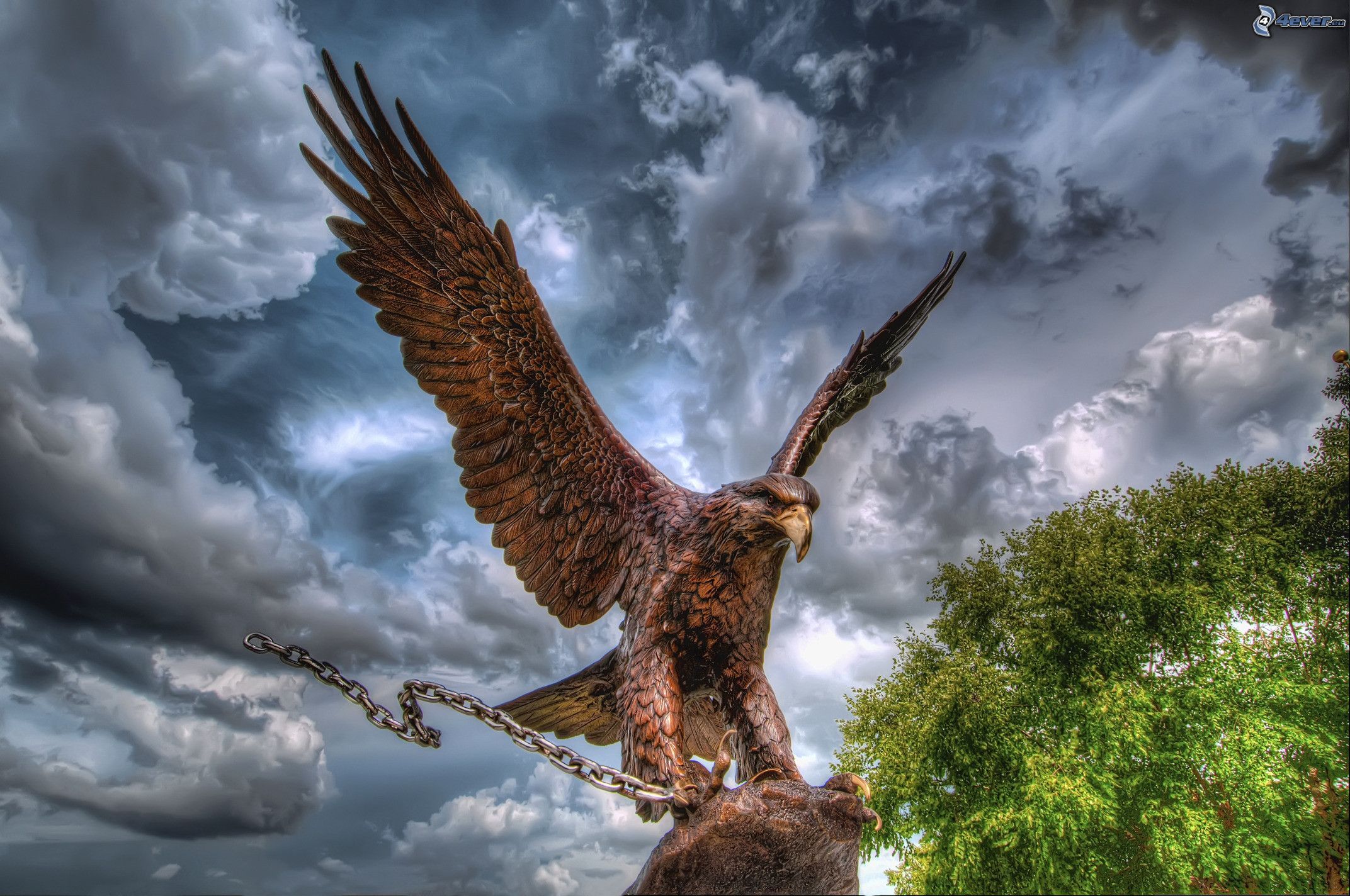 Adler, Ausgebreitete Flügel, Kette, Gewitterwolken, HDR, Full HD, PC-Hintergrundbild