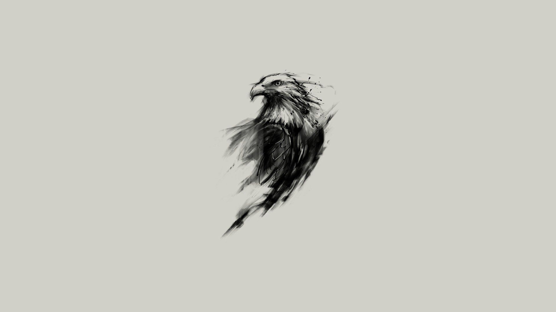 Adler, Tuschezeichnung, Skizze, Grauer Hintergrund, Minimalistisch, Full HD Wallpaper