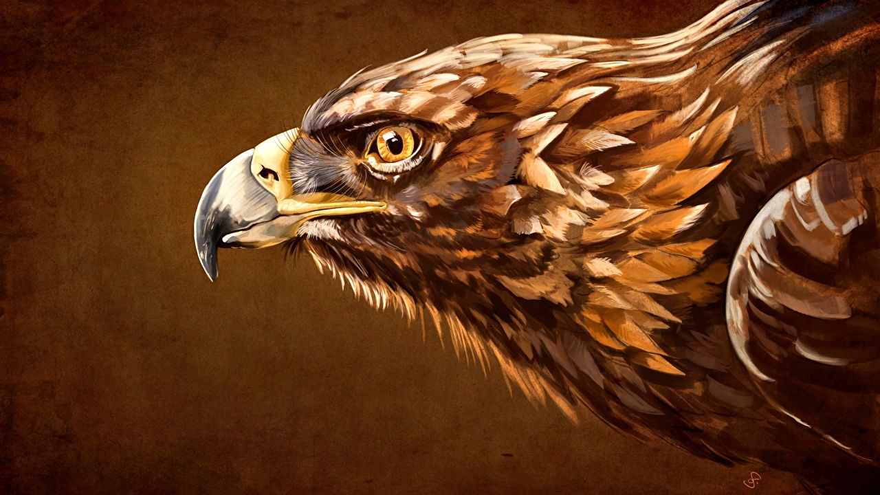 Adler, Gemälde, Braunes Gefieder, Profil, Kunst, HD, Hintergrund für den Desktop