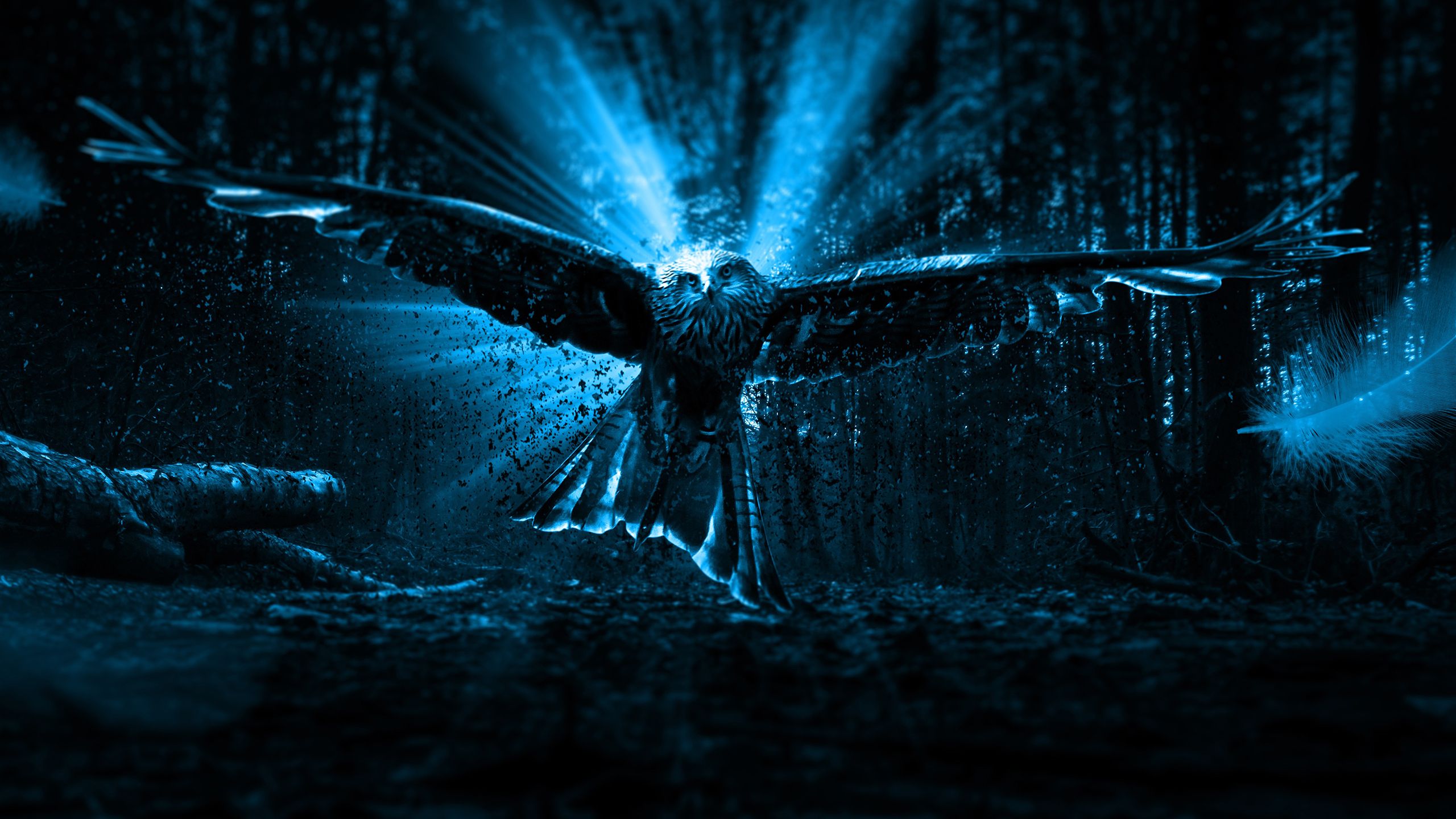 Adler, Lichtstrahlen, Wald, Fantasy, Blau, Dunkel, 2K 1440p, Desktop-Hintergrundbild