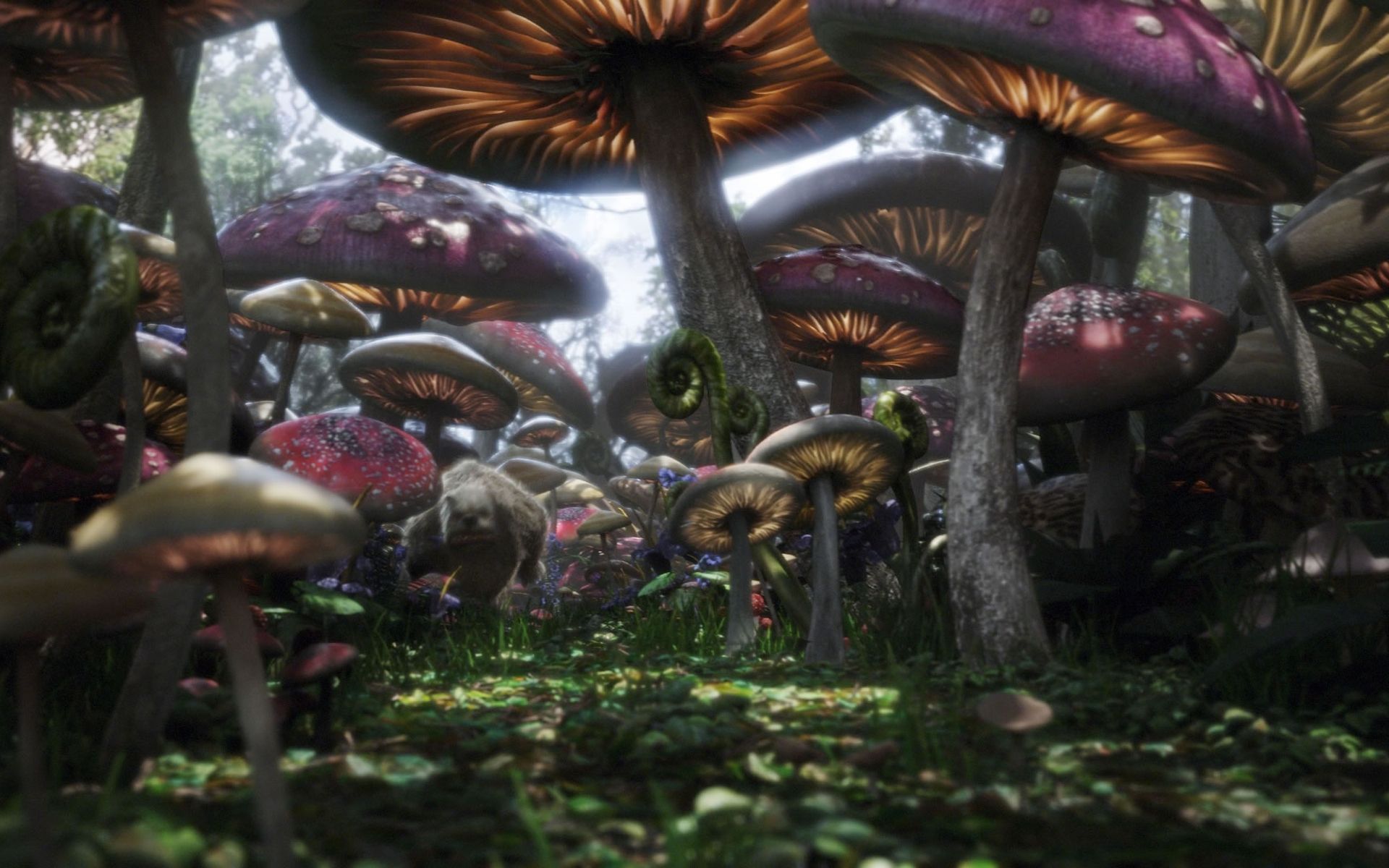 Alice im Wunderland (2010), Riesenpilze, Unterland, Fantasywald, Dunkel, Full HD, Breitbild-Hintergrundbild