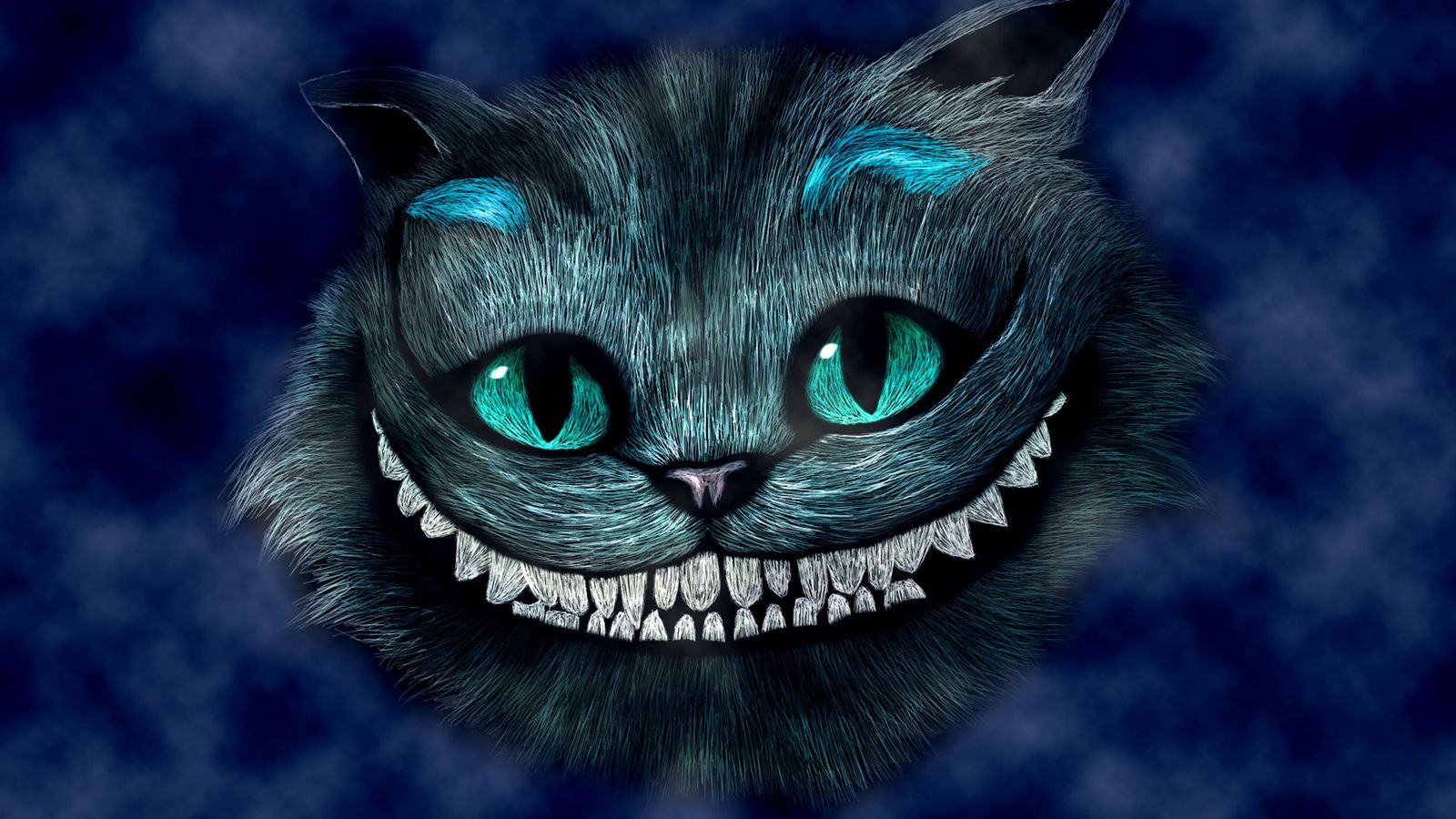 Grinsekatze, Nahaufnahme, Grinsen, Dunkelblau, Türkise Augen, HD, Desktop-Hintergrund