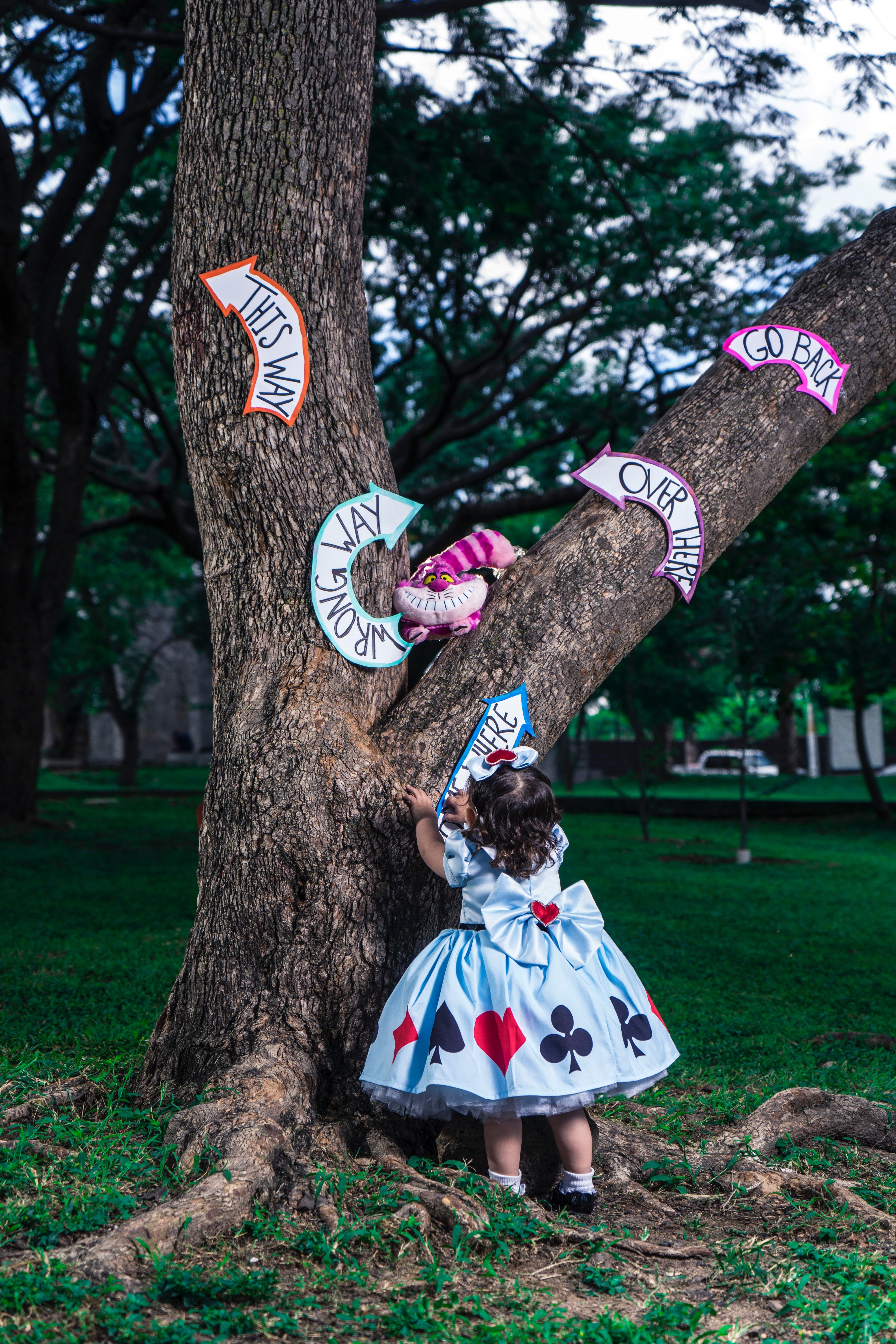 Alice, Cosplay, Baum, Spielkarten, Park, QHD+, Hintergrundbild fürs Handy