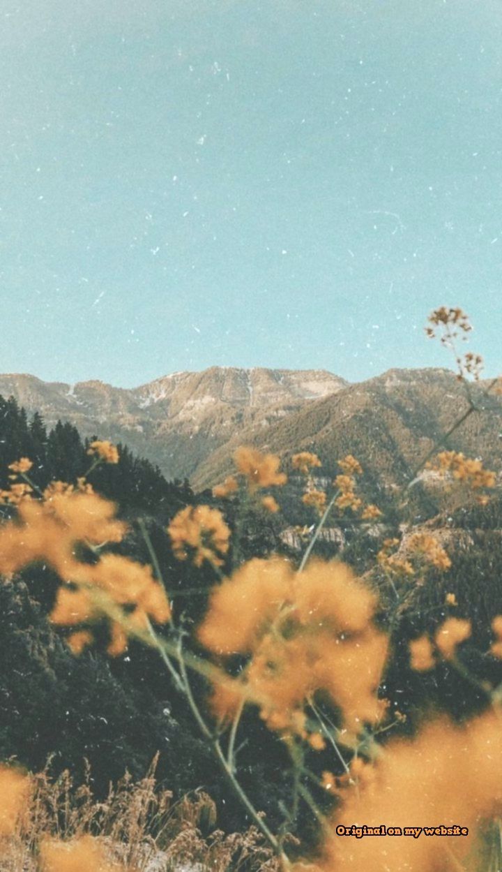 Berge, Gelbe Blumen, Wildblumen, Tal, Vintage-Filter, Hochformat, Hintergrundbild fürs Smartphone