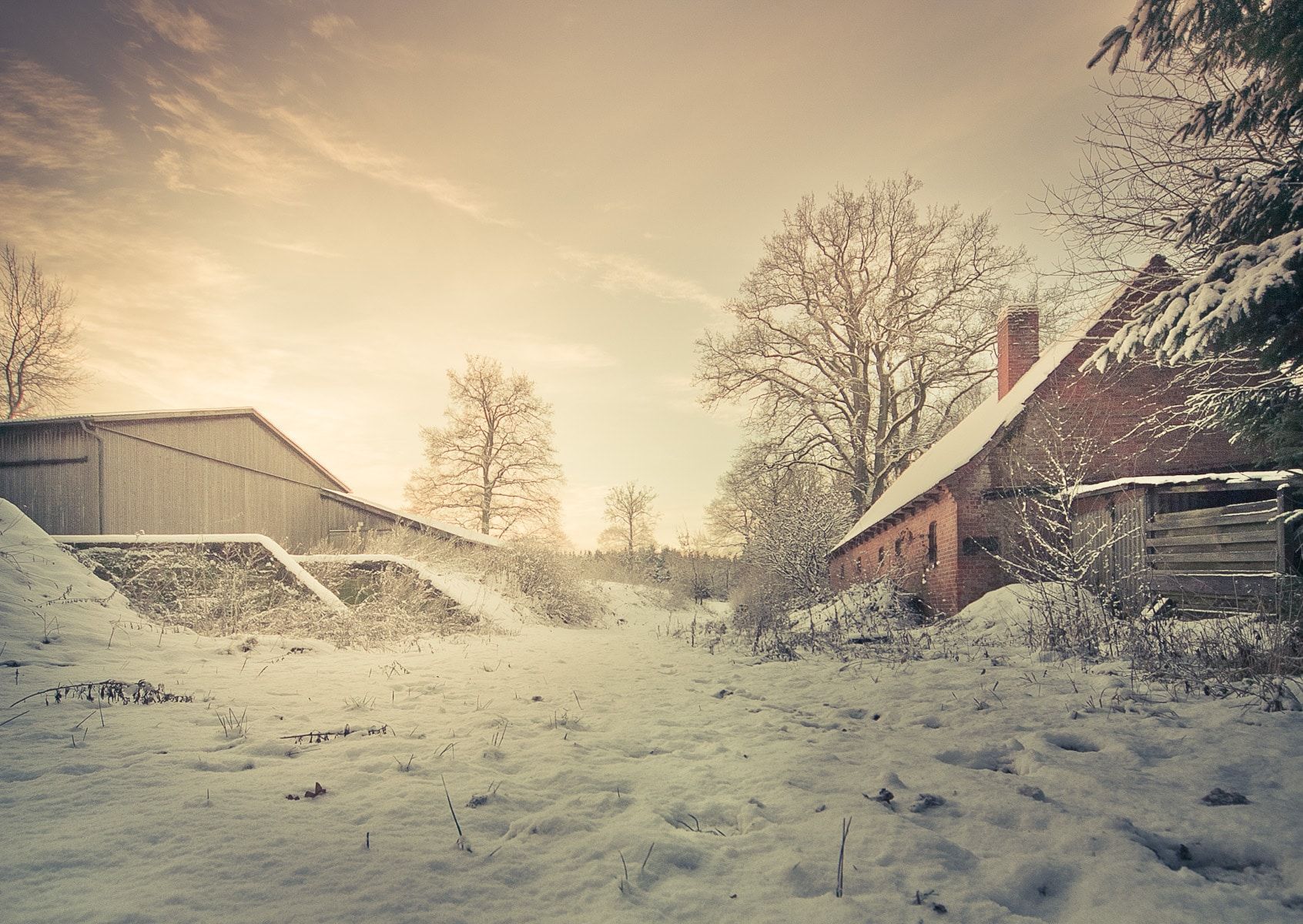 Bauernhof, Schnee, Winterlandschaft, Sonnenlicht, Bäume, HD, PC-Hintergrundbild