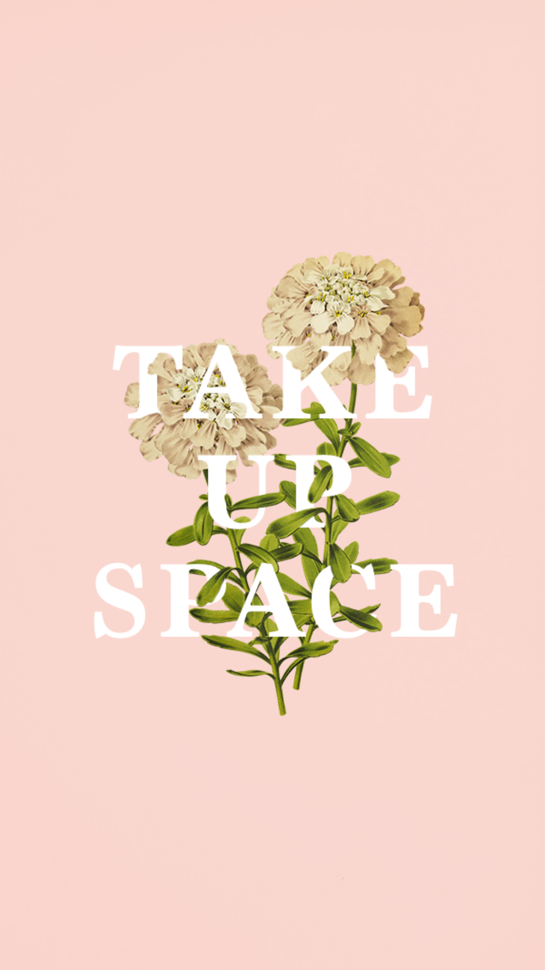 Take up space, Zitat, Blumen, Typografie, Pfirsichfarben, 1080x1920, Handy-Hintergrund