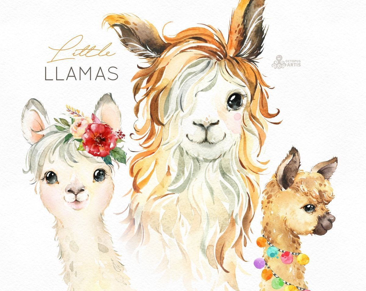Little Llamas, Lamas, Aquarell, Blumenkranz, Illustration, Hintergrundbild