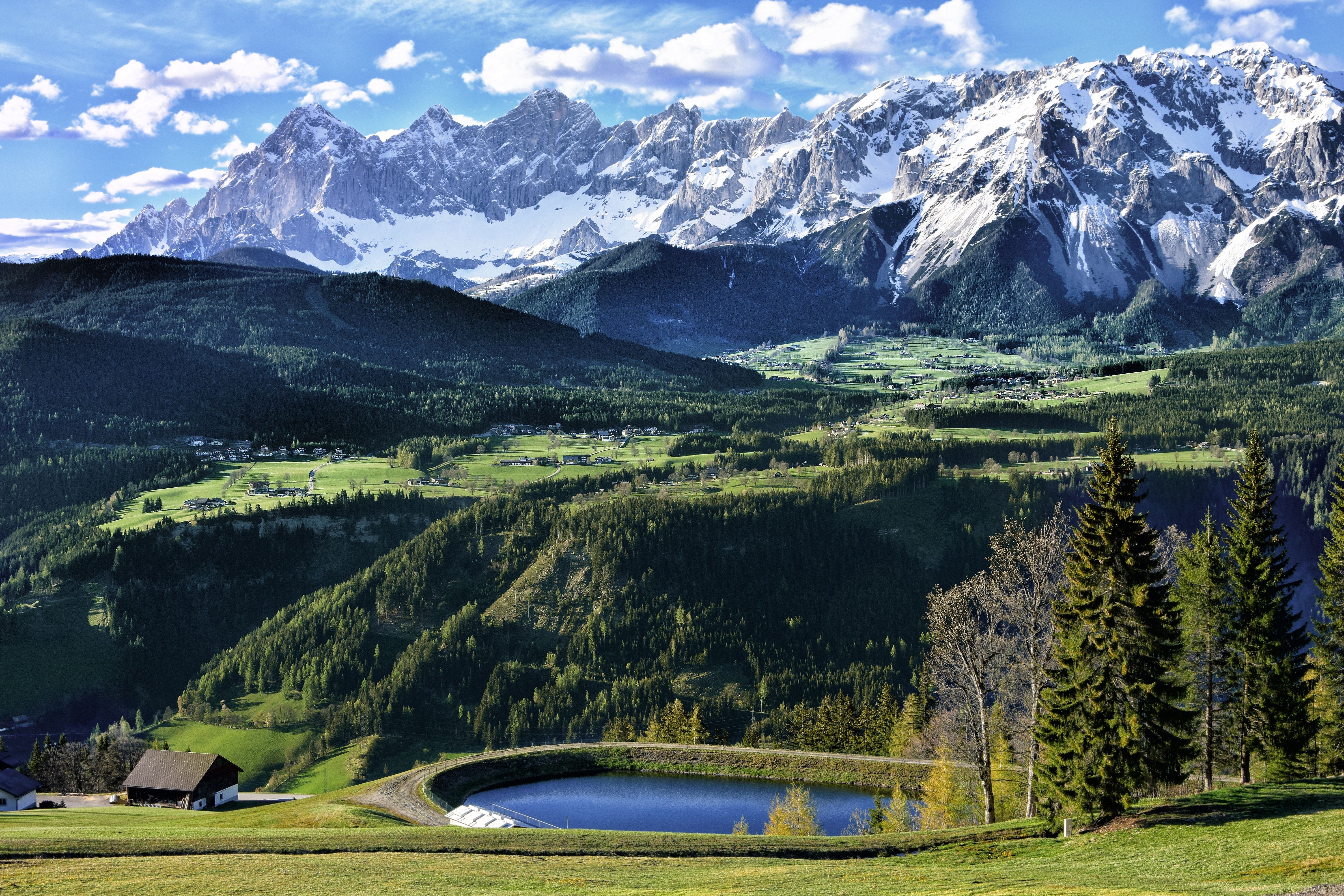 Alpen, Schneegipfel, Bergsee, Almwiese, Tannenwald, Panorama, 6K, Laptop-Hintergrundbild