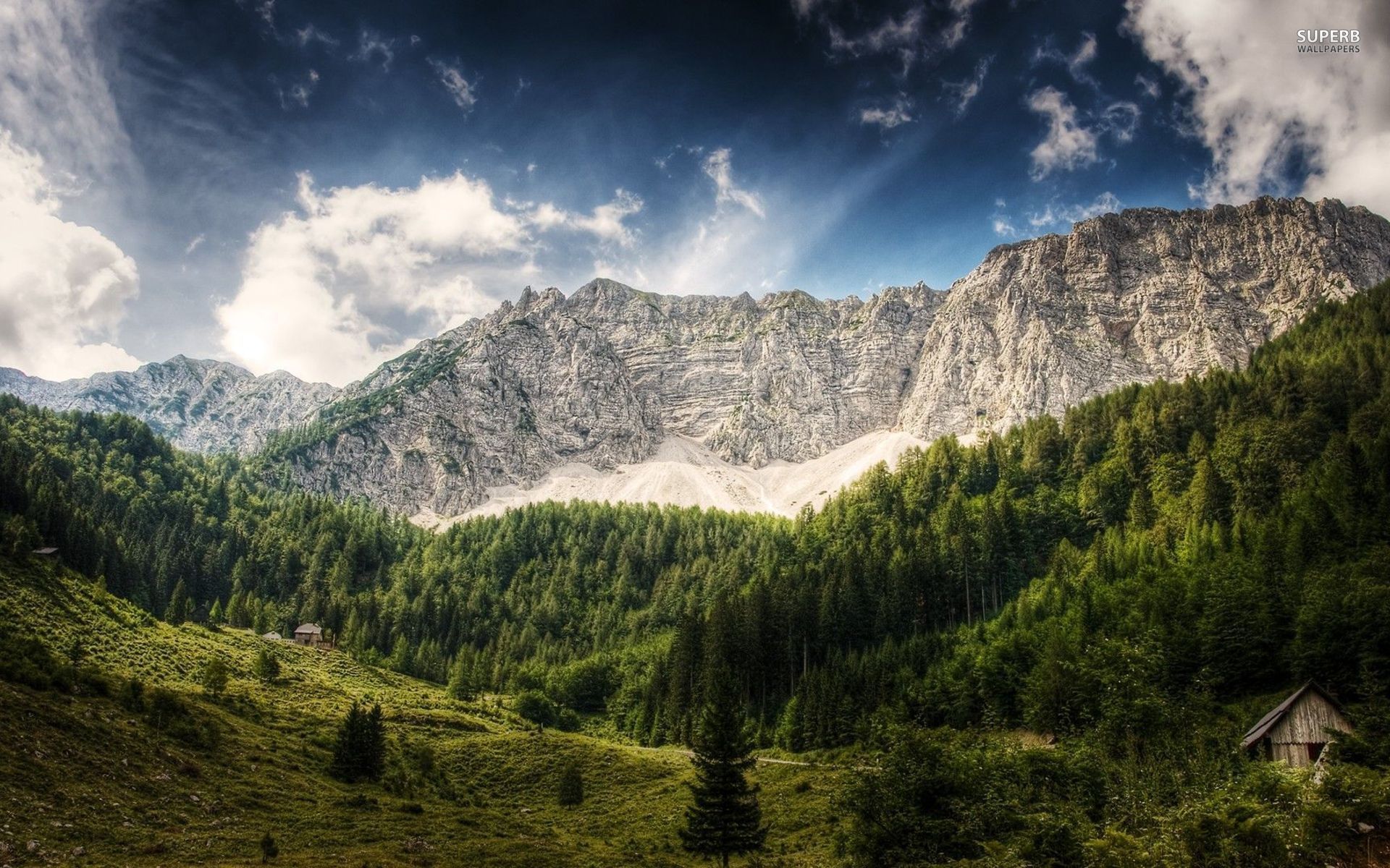 Alpen, Felswand, Tannenwald, Dramatischer Himmel, Tal, Full HD, Desktop-Hintergrund für Windows