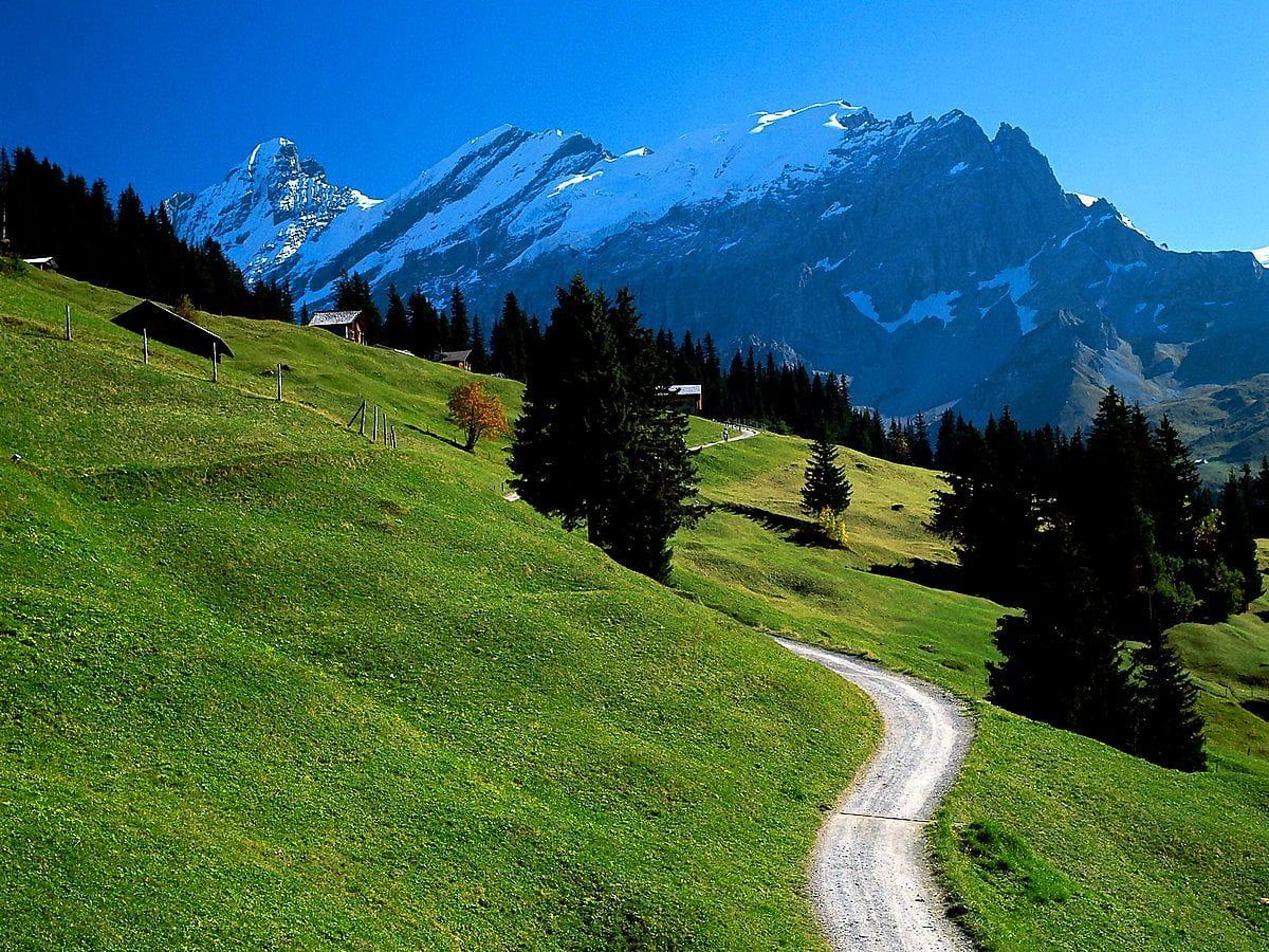 Alpen, Almweg, Grüner Hang, Schneegipfel, Blauer Himmel, Hintergrundbild fürs iPad