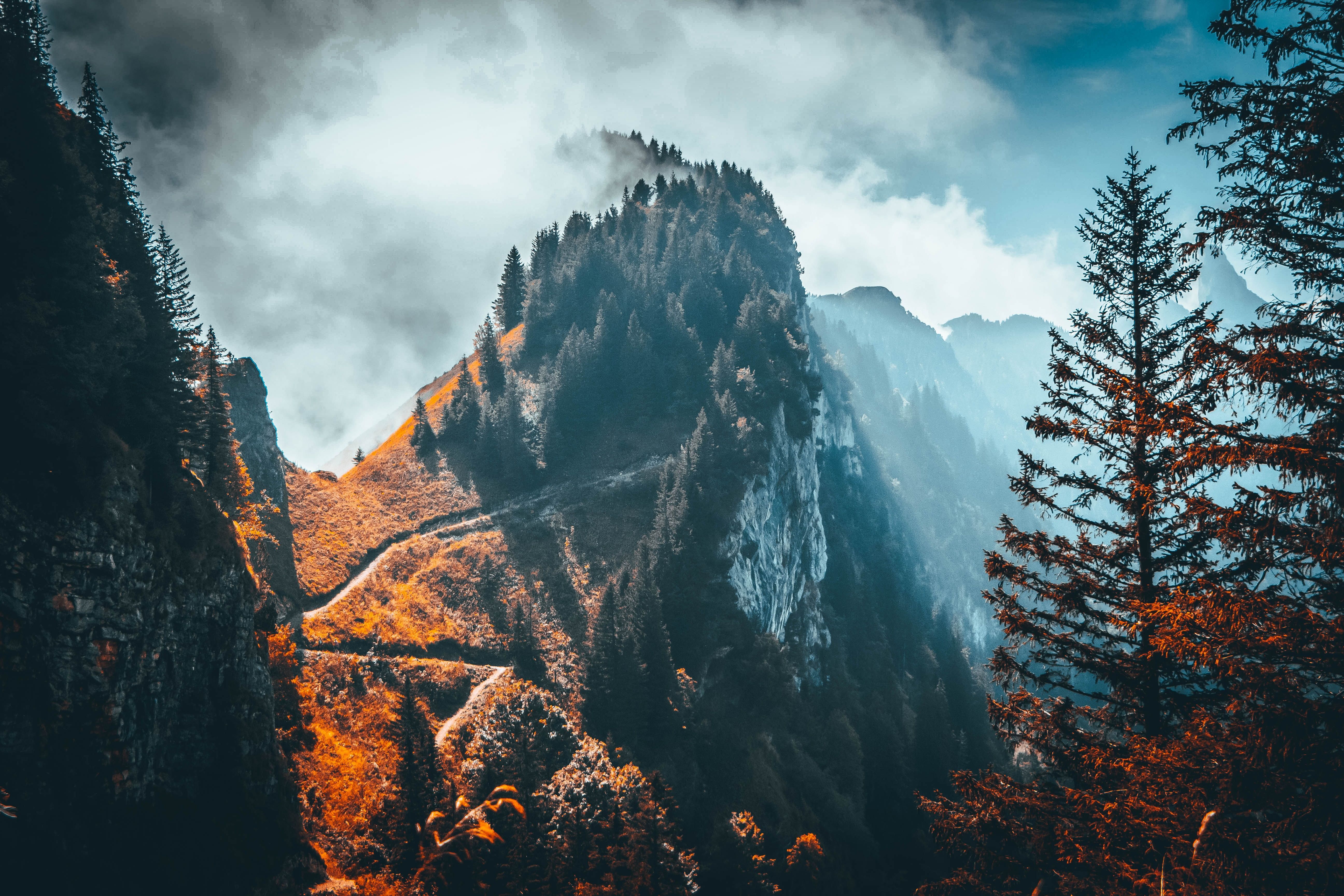 Alpen, Felsspitze, Herbst, Nebel, Tannen, 5K, Hintergrundbild für den PC