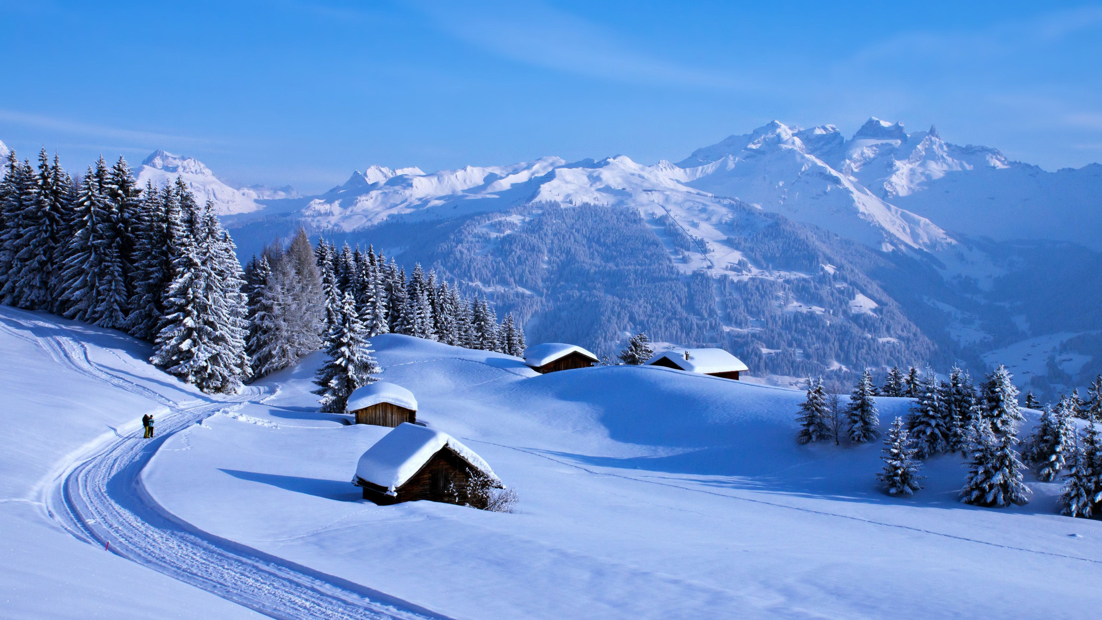 Alpen, Winterlandschaft, Hütten, Verschneite Tannen, Loipe, 4K, Windows-Hintergrundbild