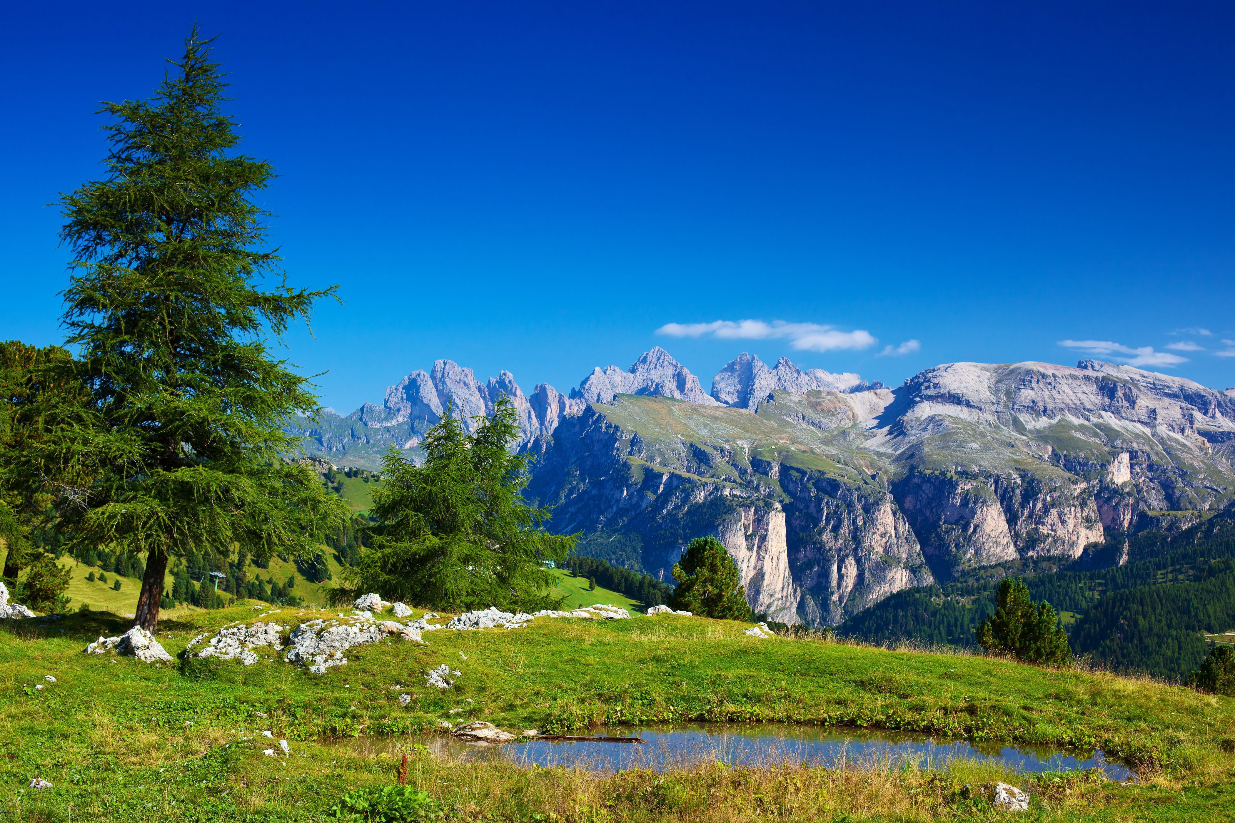 Alpen, Lärche, Bergtümpel, Almwiese, Dolomiten, 4K, Hintergrund für den Desktop