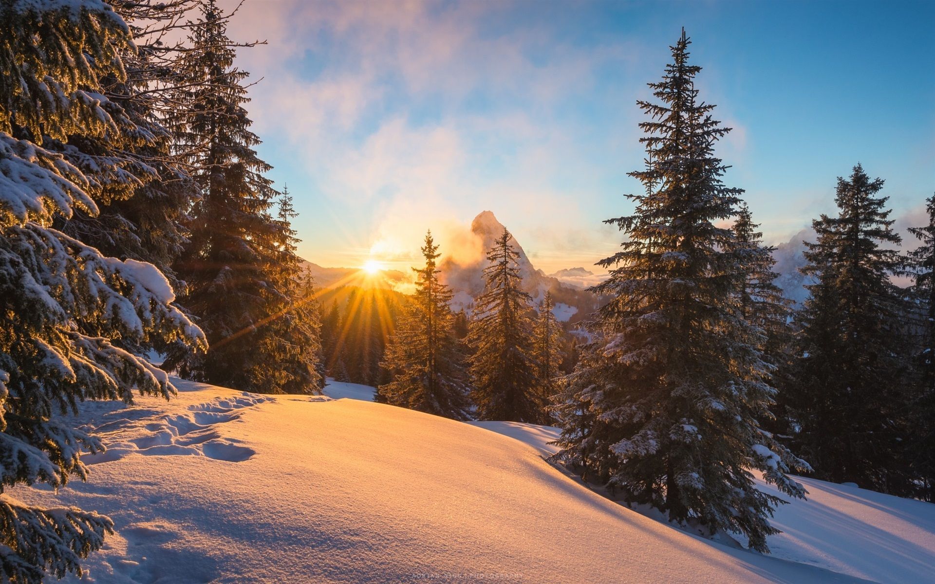 Alpen, Sonnenuntergang, Verschneite Tannen, Winter, Gegenlicht, Full HD, Desktop-Hintergrund