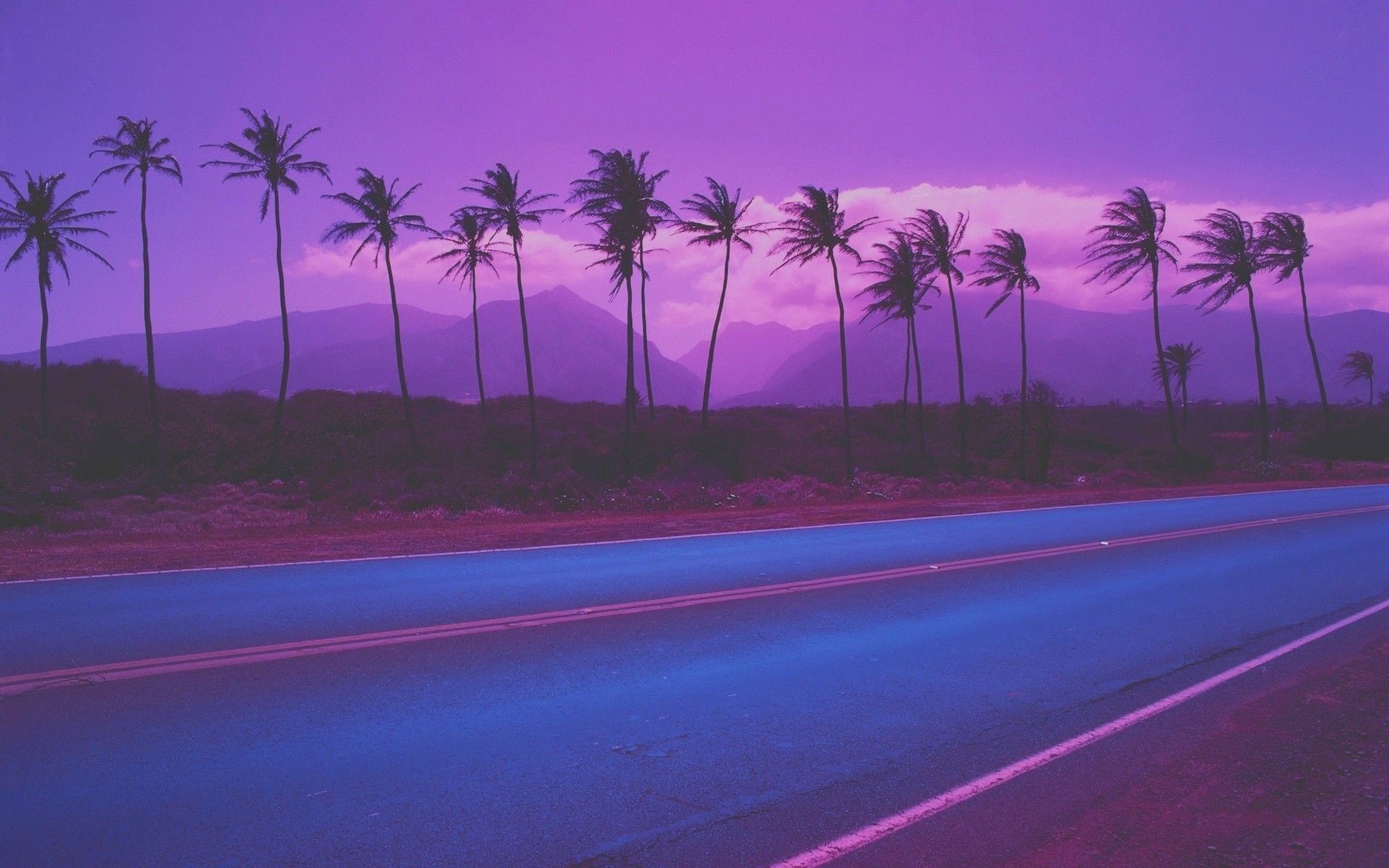 Palmen, Straße, Lila Himmel, Vaporwave, Abend, 16:10, Full-HD-Hintergrundbild für den Desktop