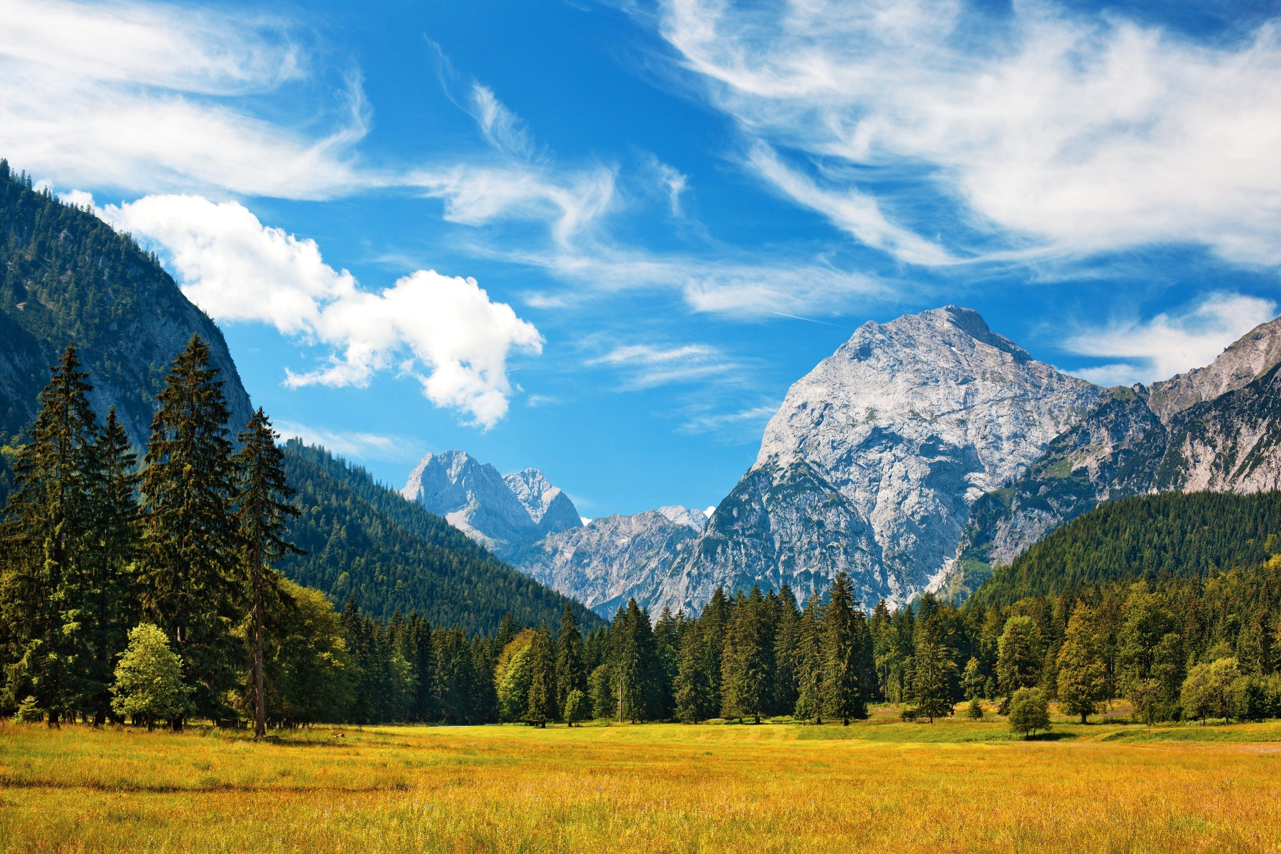Alpen, Felsgipfel, Wiese, Tannen, Wolken, 4K, Desktop-Hintergrund für Windows