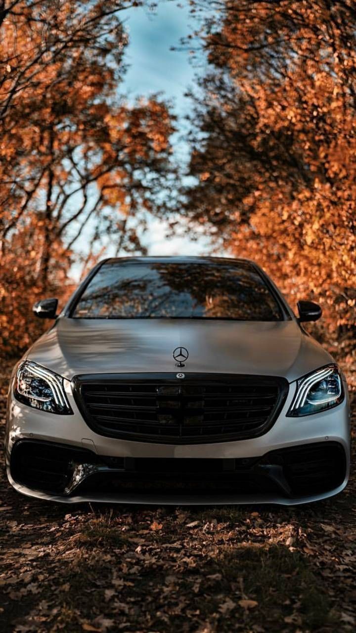 Mercedes-AMG E 63, Mercedes-Benz, Silbernes Auto, Herbst, Herbstlaub, HD, Handy-Hintergrundbild